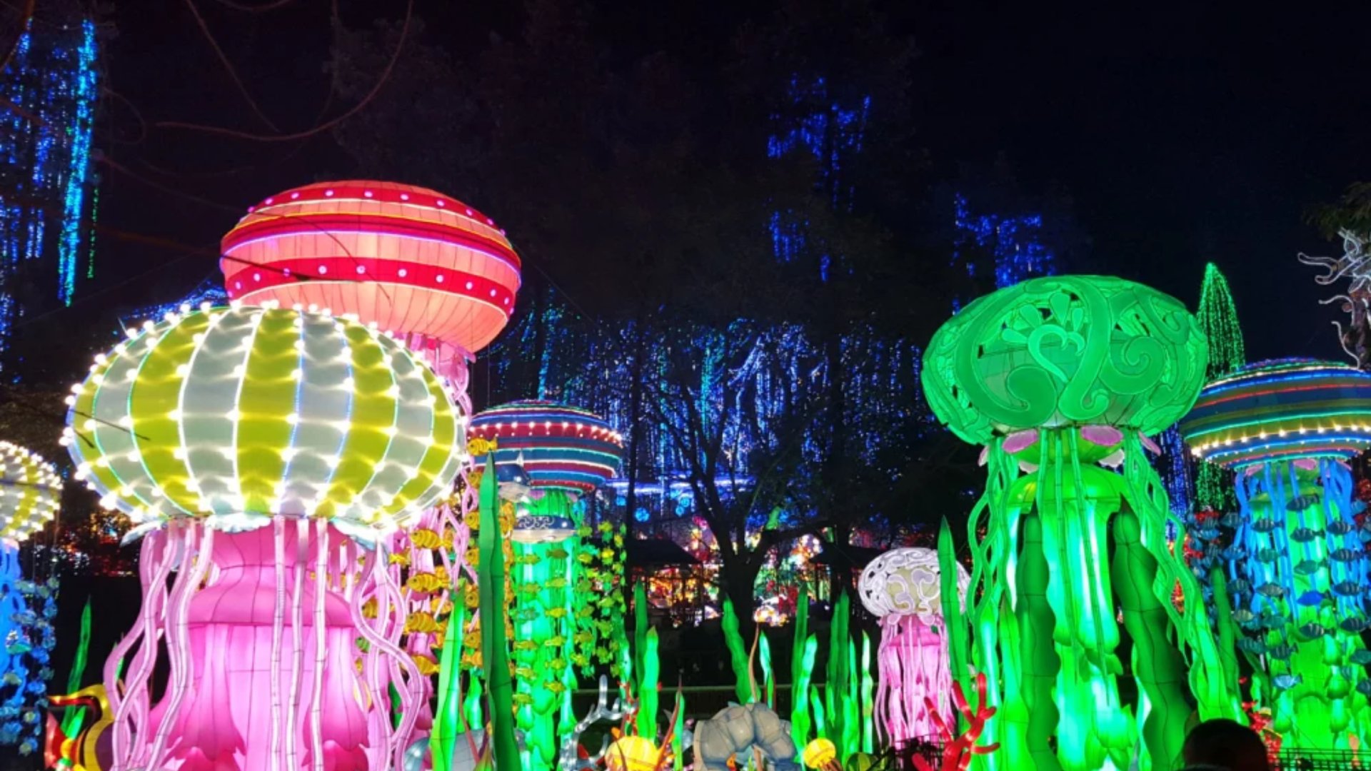 Vibrant illuminated jellyfish lanterns in pink yellow and green colors displayed at outdoor lantern festival in Miami at night