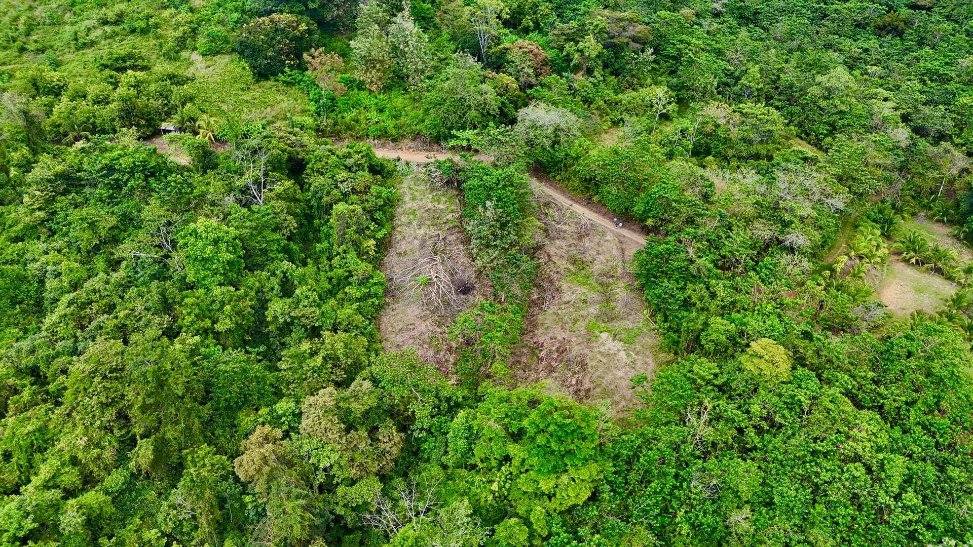 Price Reduced! Ocean View Lots in San Buenas – Just $70K Each