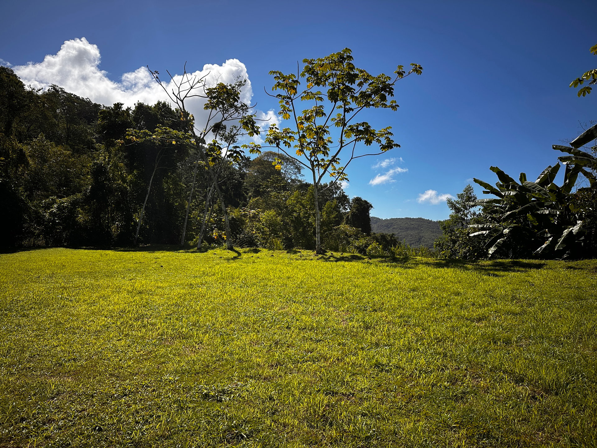 Ready To Build Lot Minutes From the Beach Dominical!
