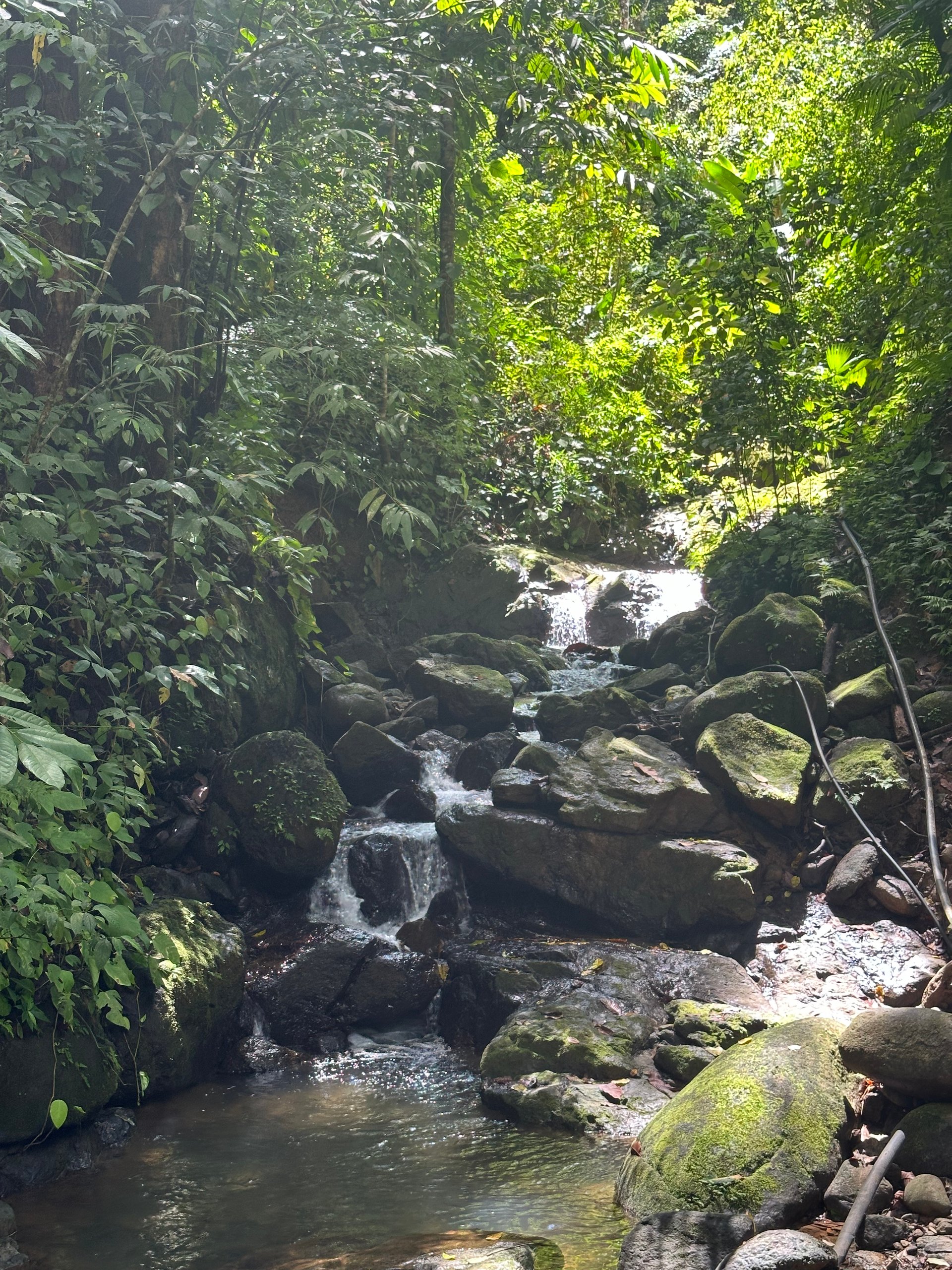 Mountain View Building Lot in Prestigious Gated Community With Private Waterfall & Two Building Sites