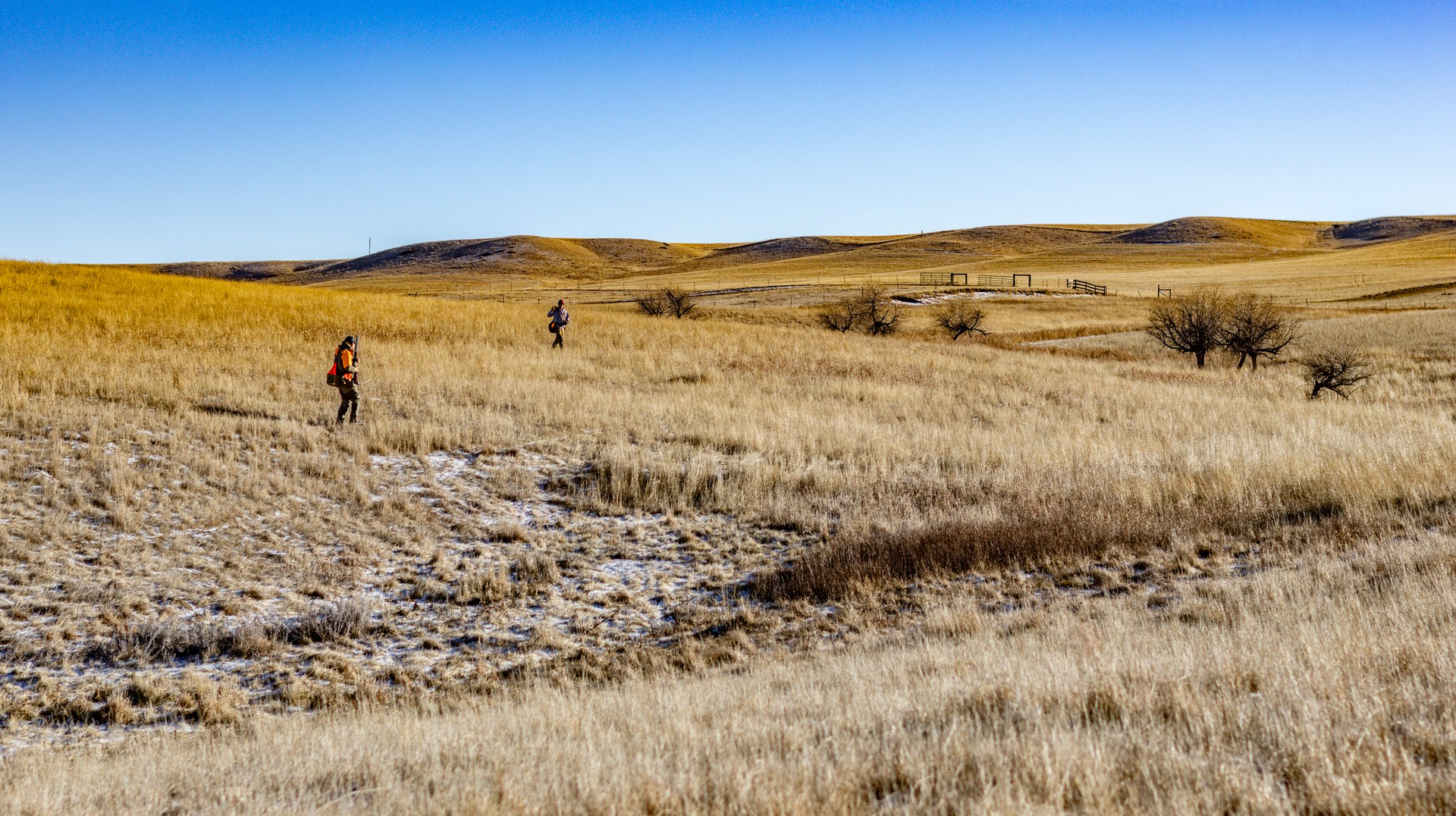 Blood Coulee Ranch