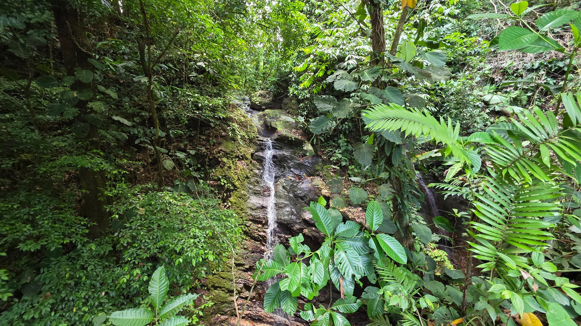 Private Waterfall Retreat in Costa Rica with Total Privacy