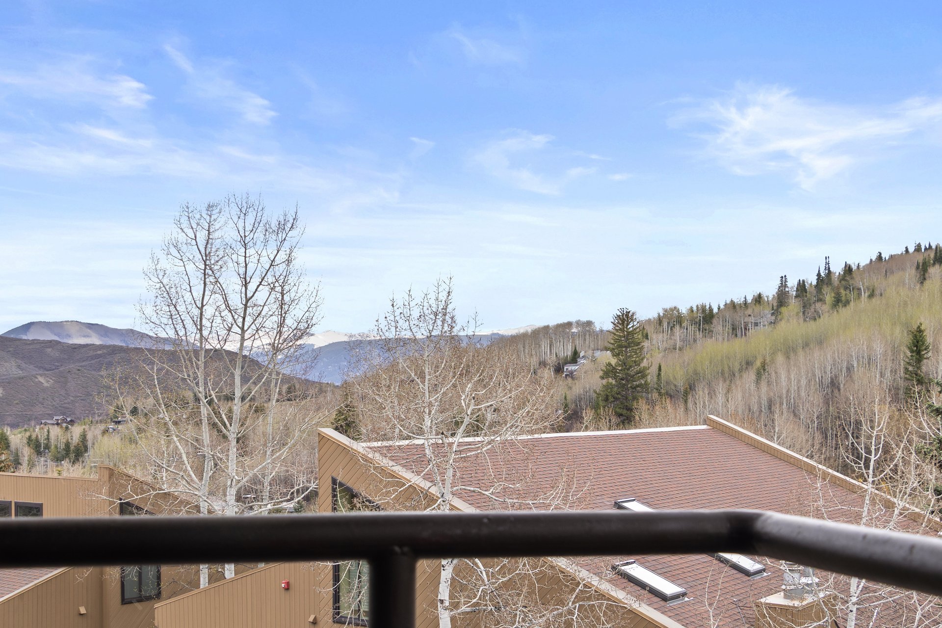 Your All-Season Retreat Minutes from Aspen