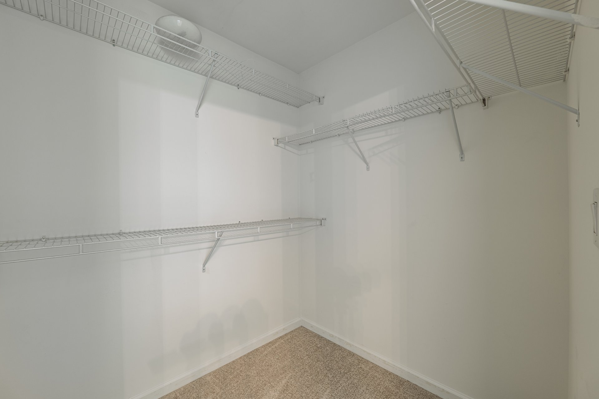 403 Tea Olive Court