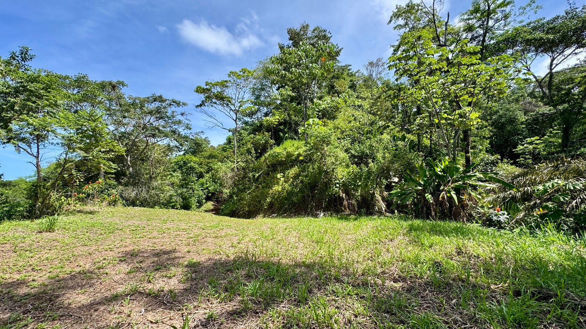 Las Terrazas Dream Estate | Spectacular Ocean & Mountain Views with a Waterfall 