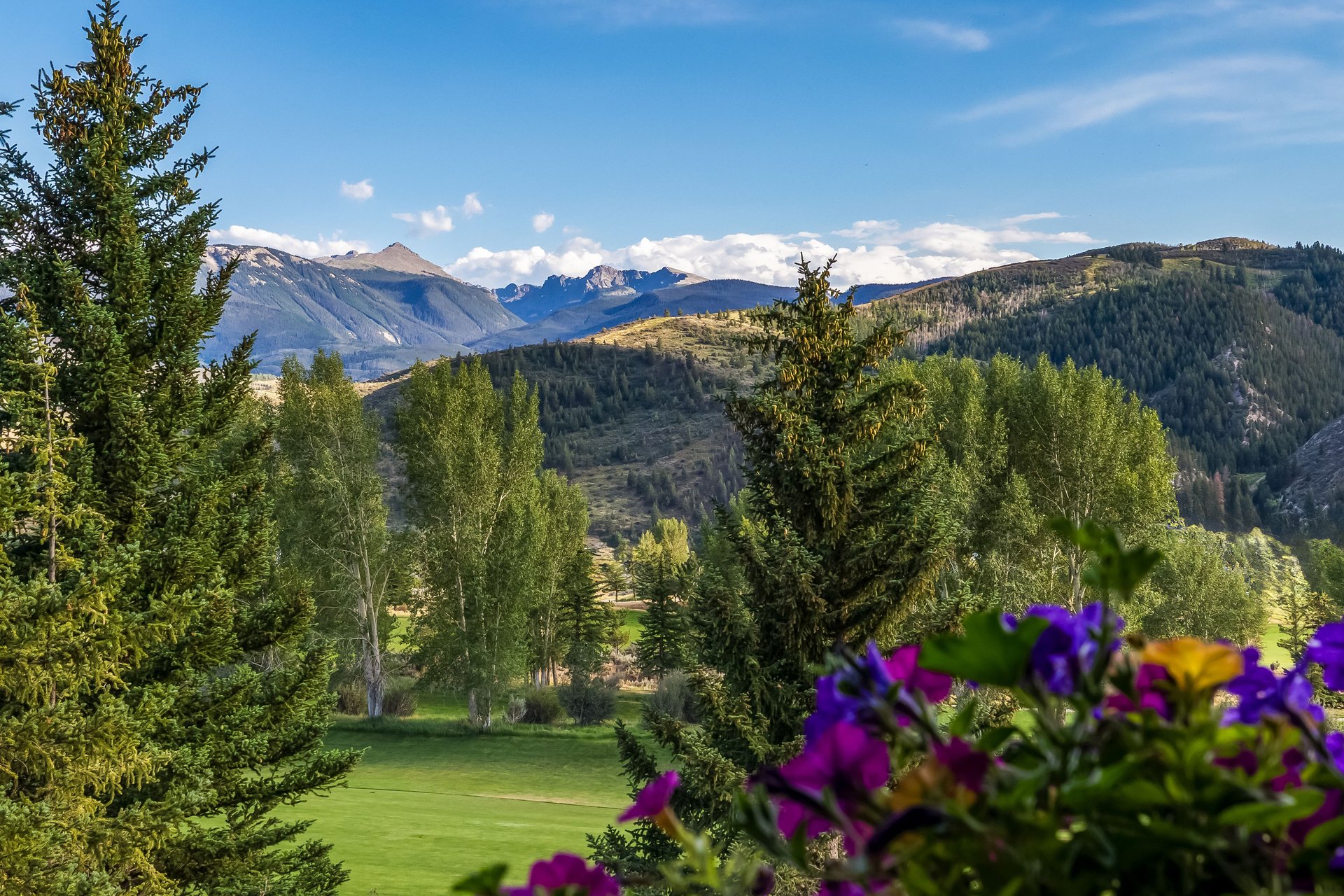 1372 Beard Creek Trail