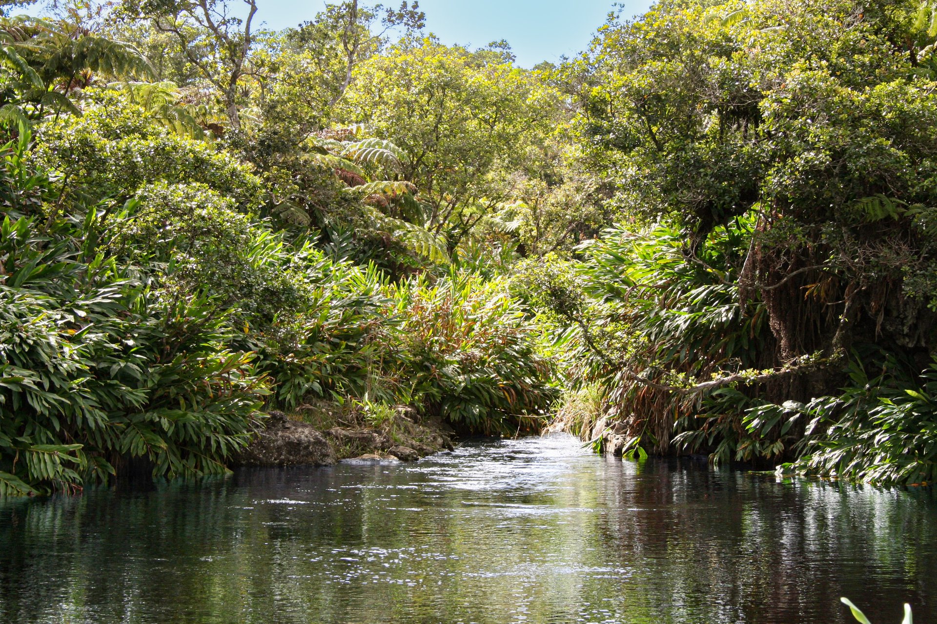 Waipi'o Valley Reserve