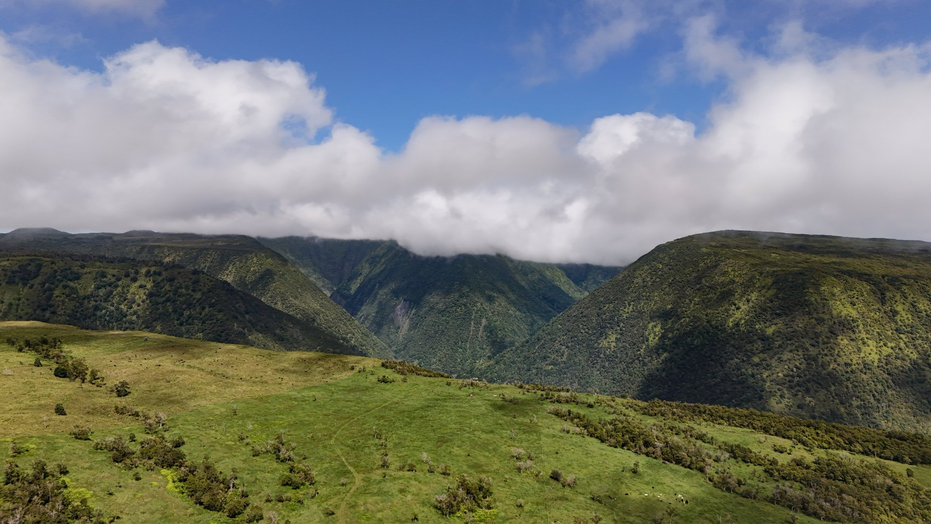 Waipi'o Valley Reserve