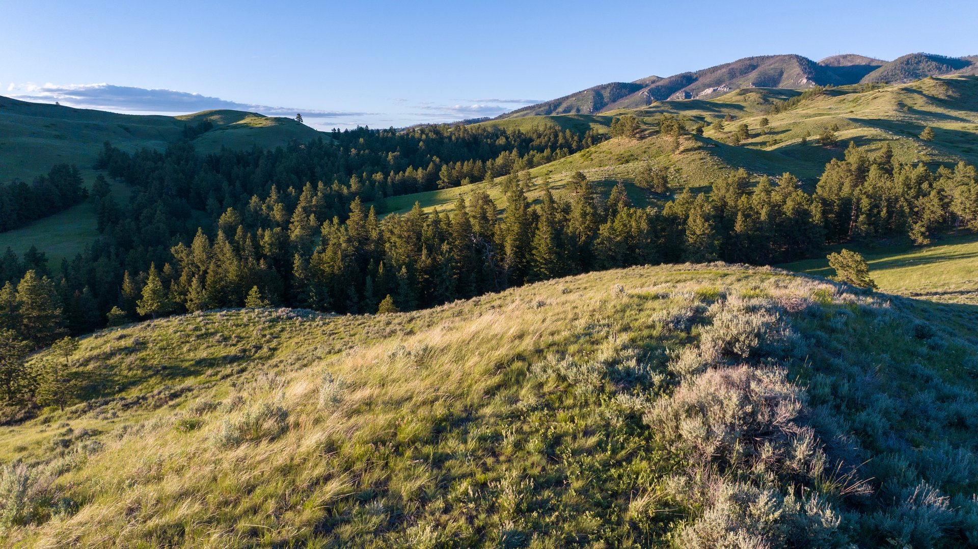 Big Spring Legacy Ranch