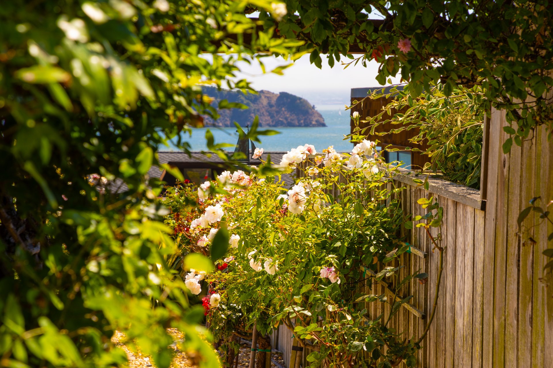 Picturesque Views of Angel Island and the Golden Gate Bridge