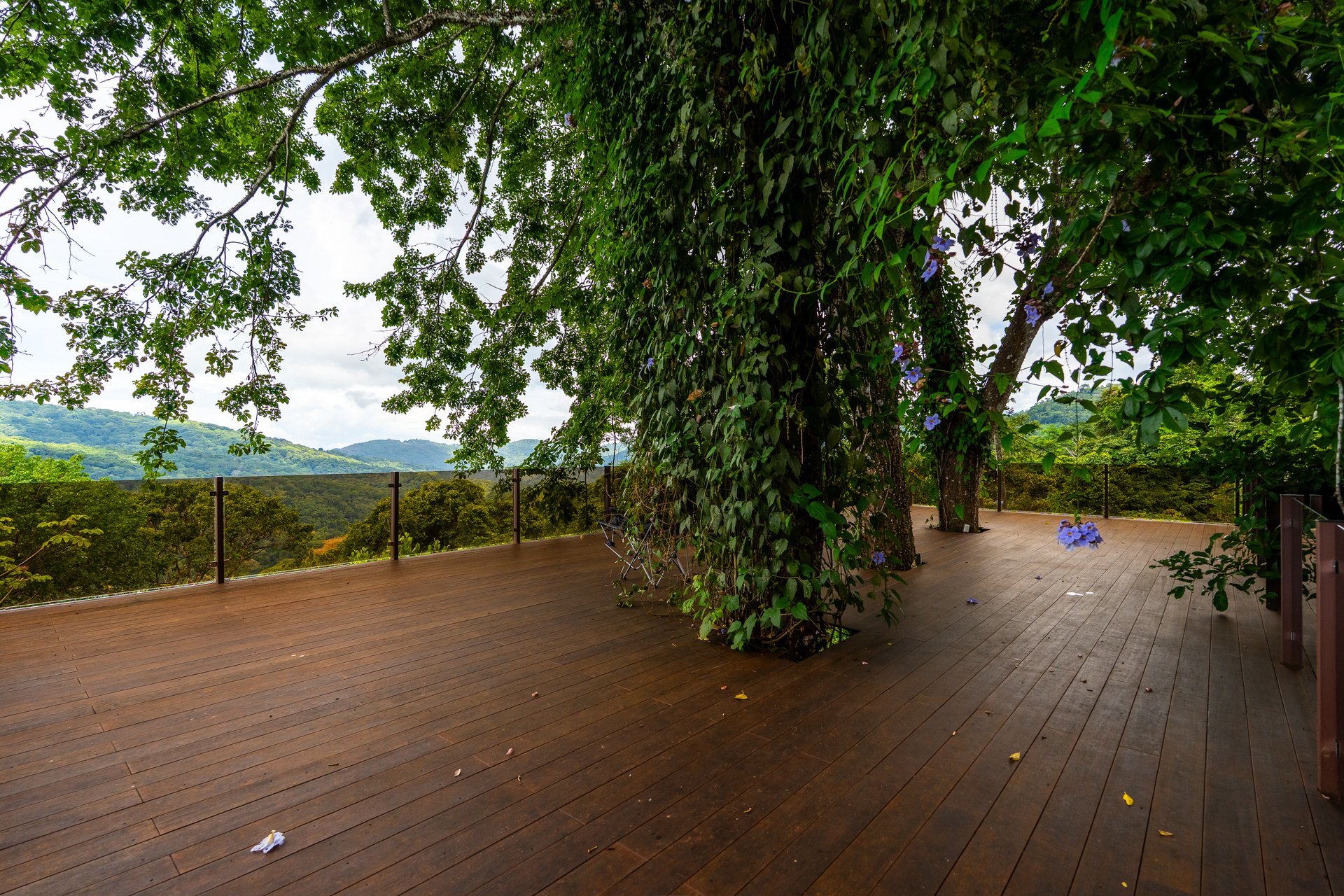 FIRE SALE!! | Where the Journey Begins | Private Jungle Estate at Nauyaca Waterfalls