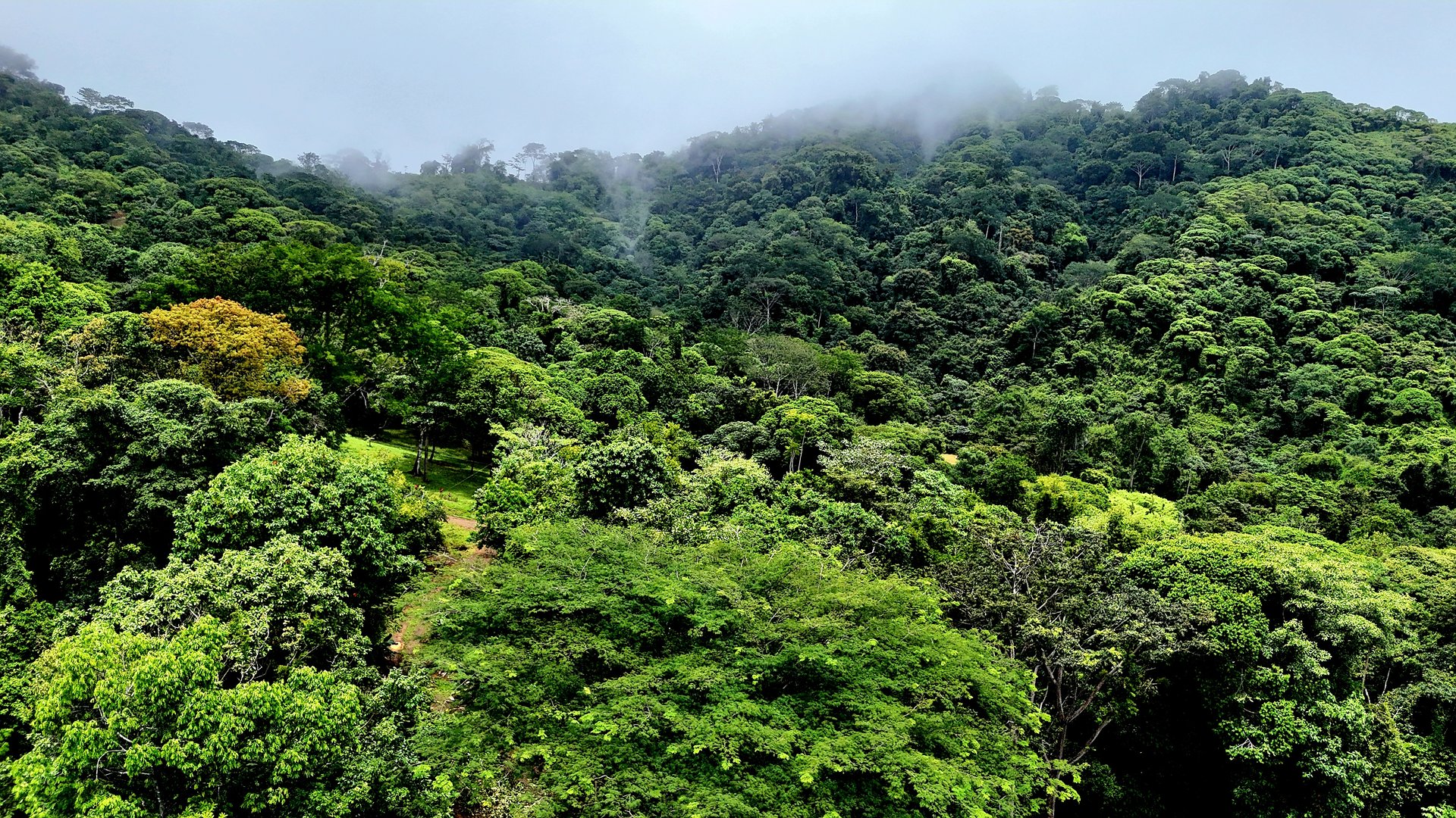 Costa Azul Residential Project - Tres Ríos de Osa, Costa Rica