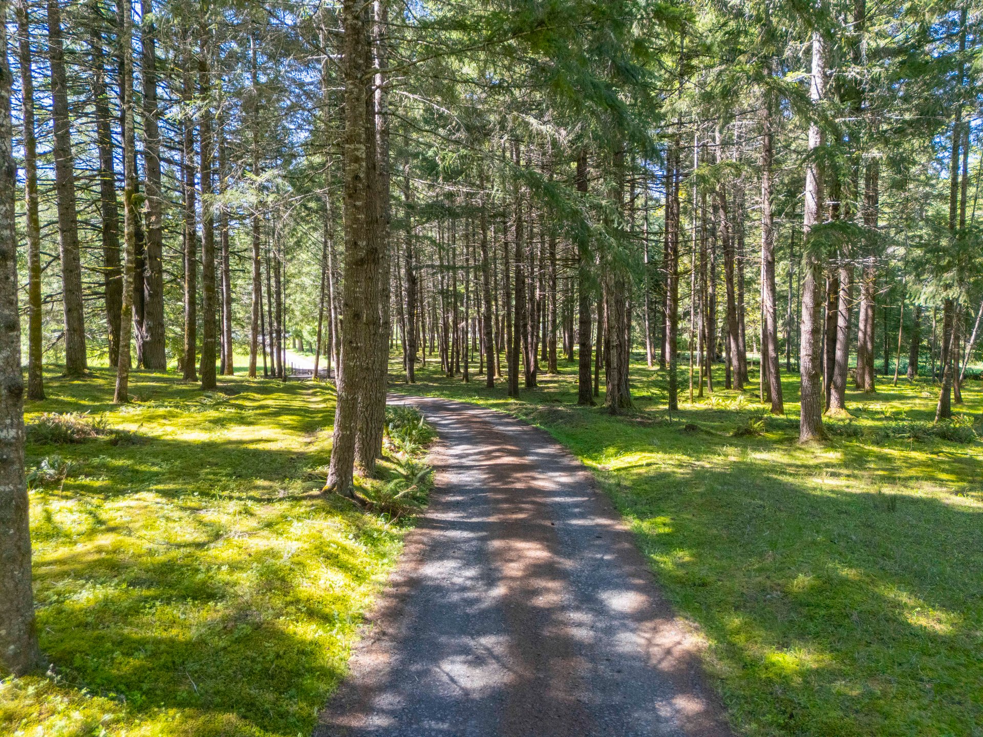 Mosby Creek Farm & Forest