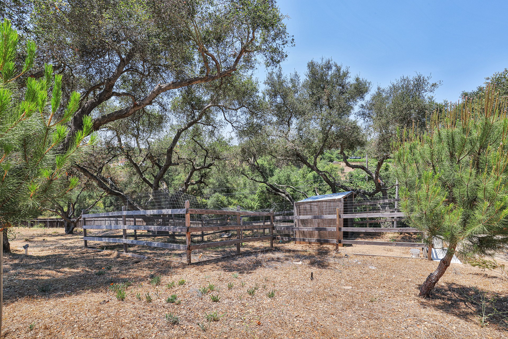 1303 Sycamore Heights