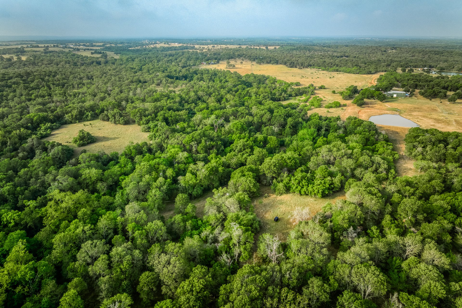 Revival Ranch TX