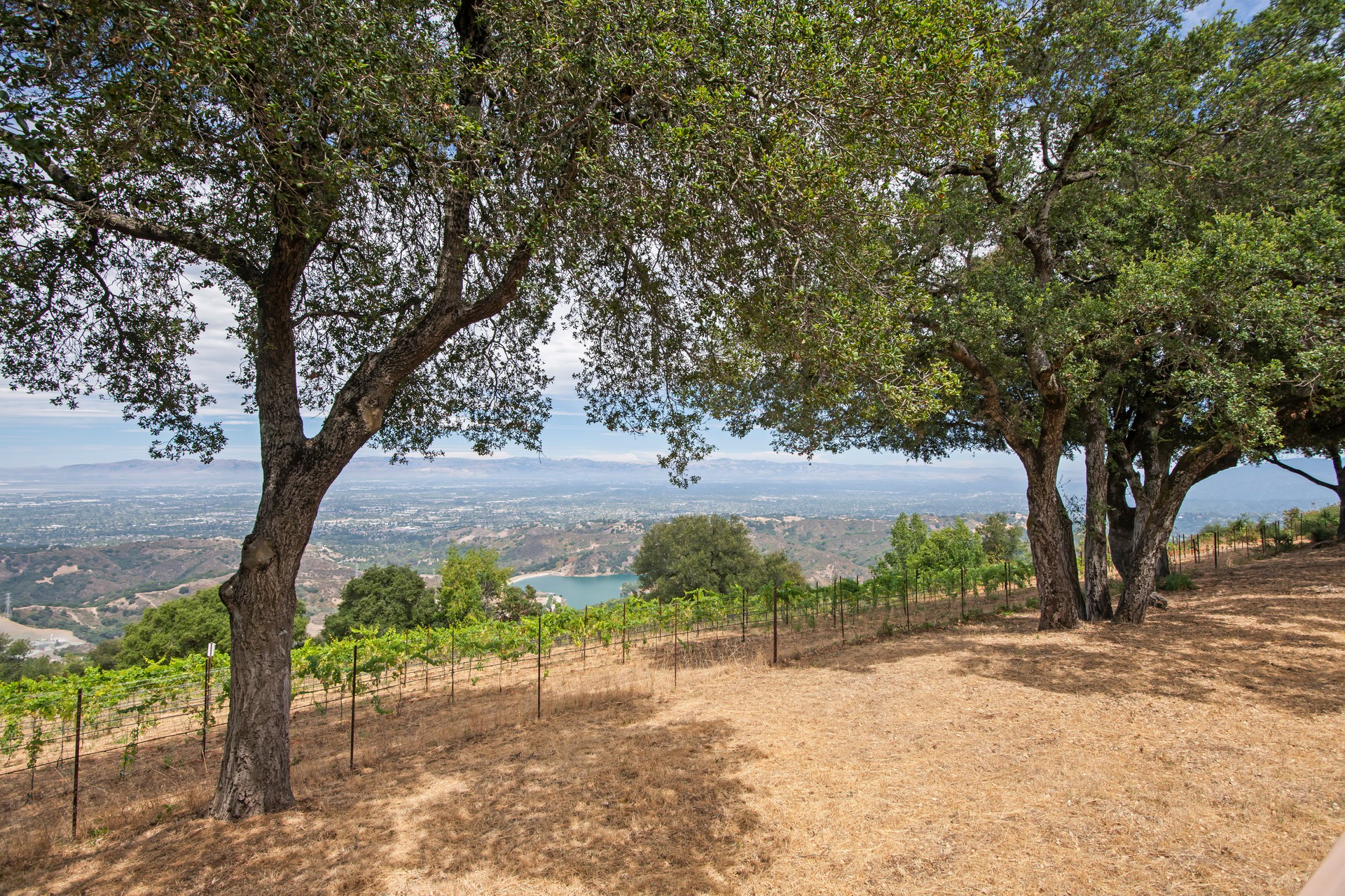 15060 Montebello RD