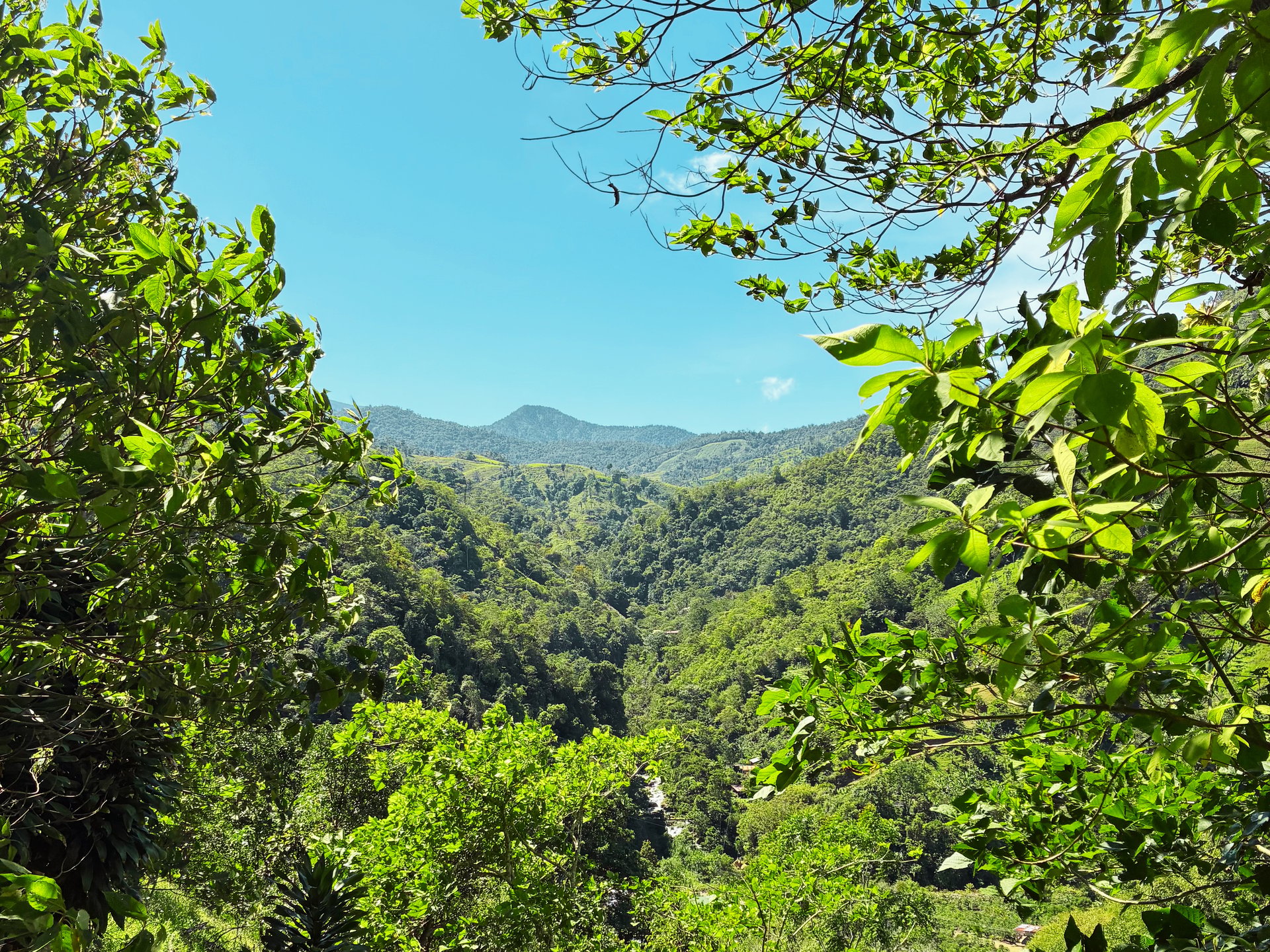 Breathtaking Mountain View Estate in Chimirol, Pérez Zeledón — 1.4 Hectares of Privacy, Nature & Potential