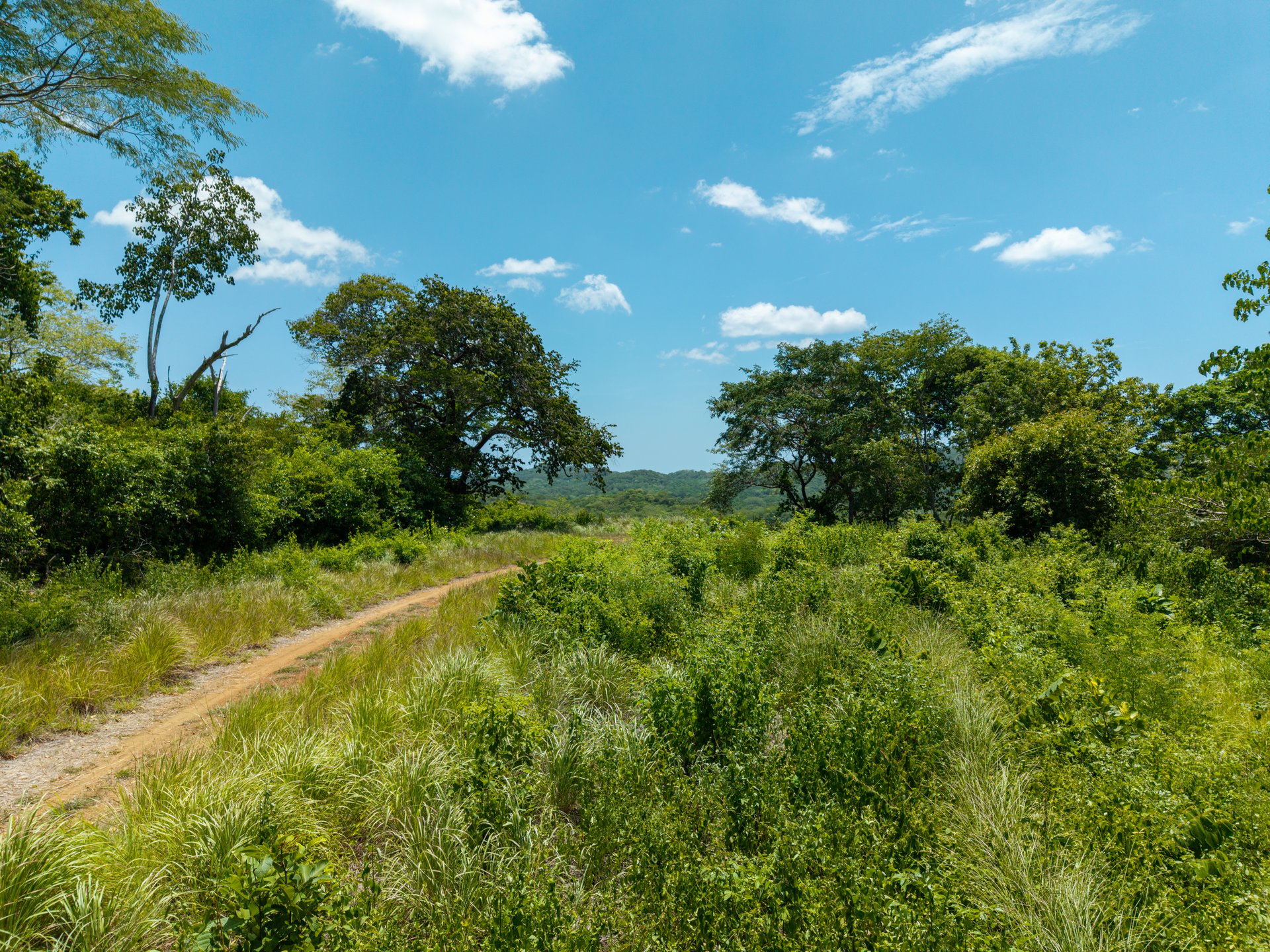 Rancho Villareal Lot 101