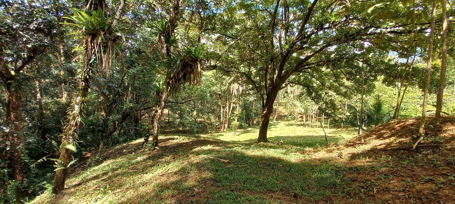 Luxury Rainforest Home + Guest House on 11 acres