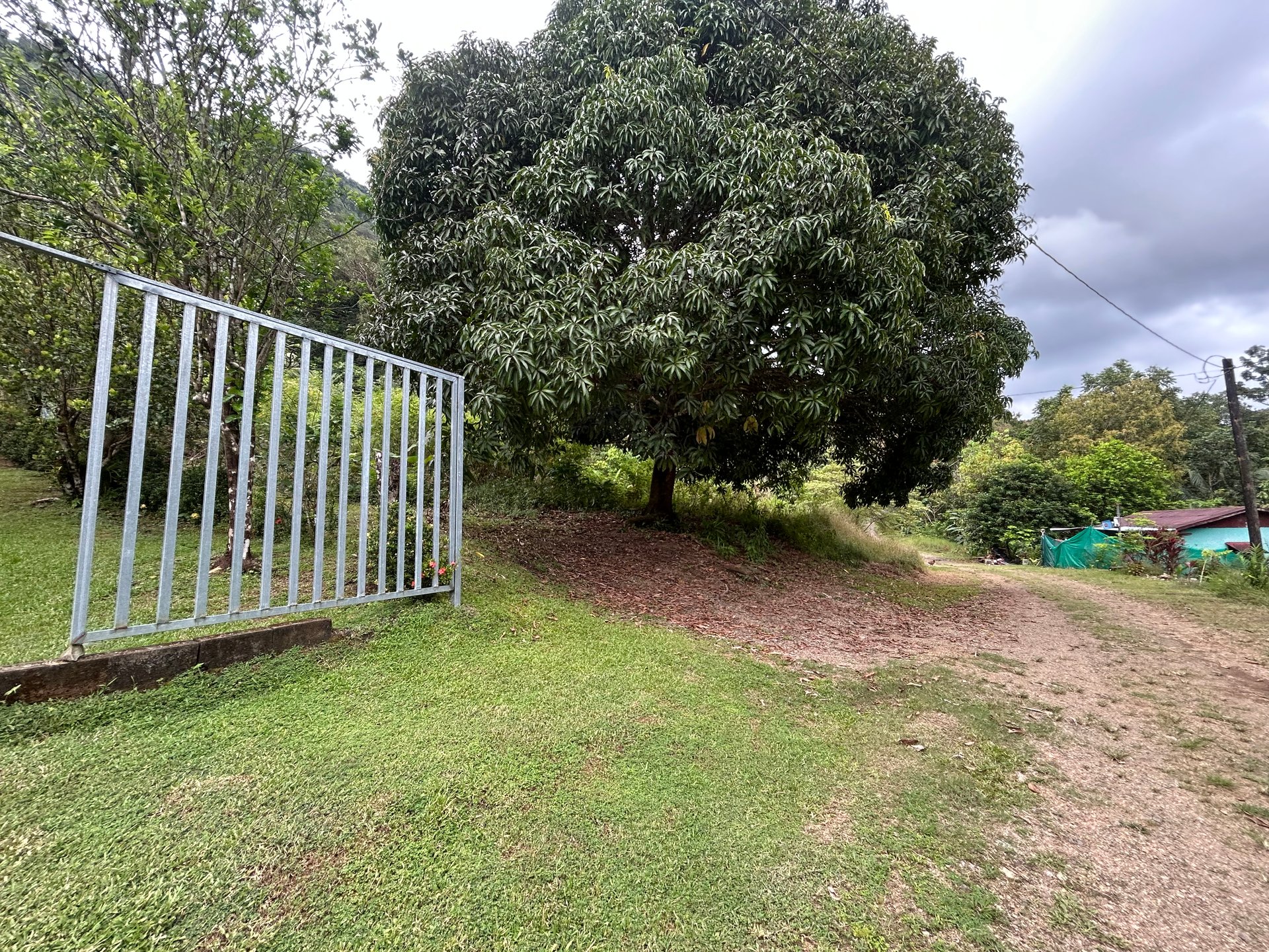 Commercial & Residential Property in Punta Mala with Producing Fruit Trees