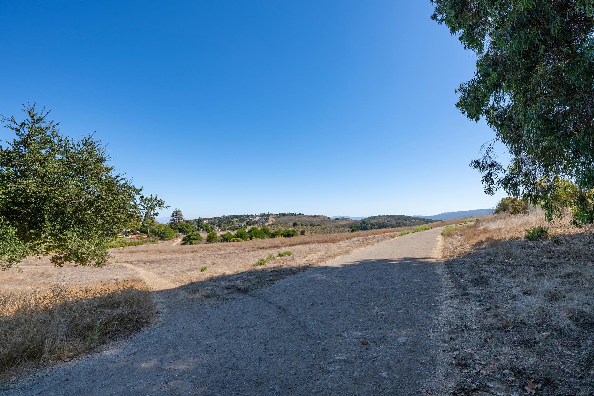 A sunlit hiking trail winding through the dry, grassy hills of an open space preserve in Belmont, California.