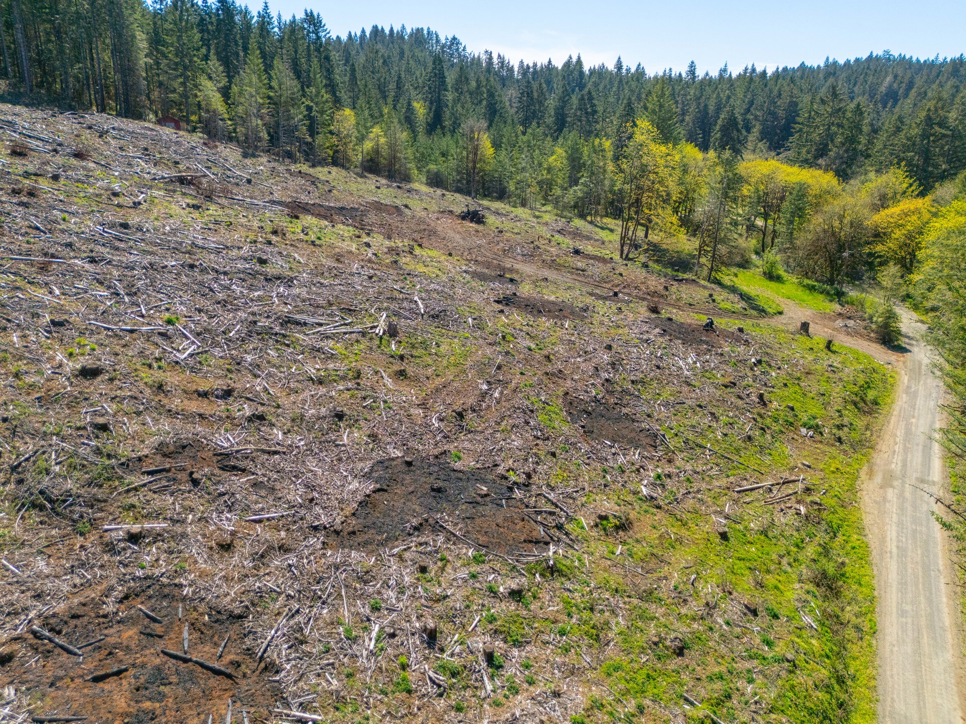 Sharewater Homesite