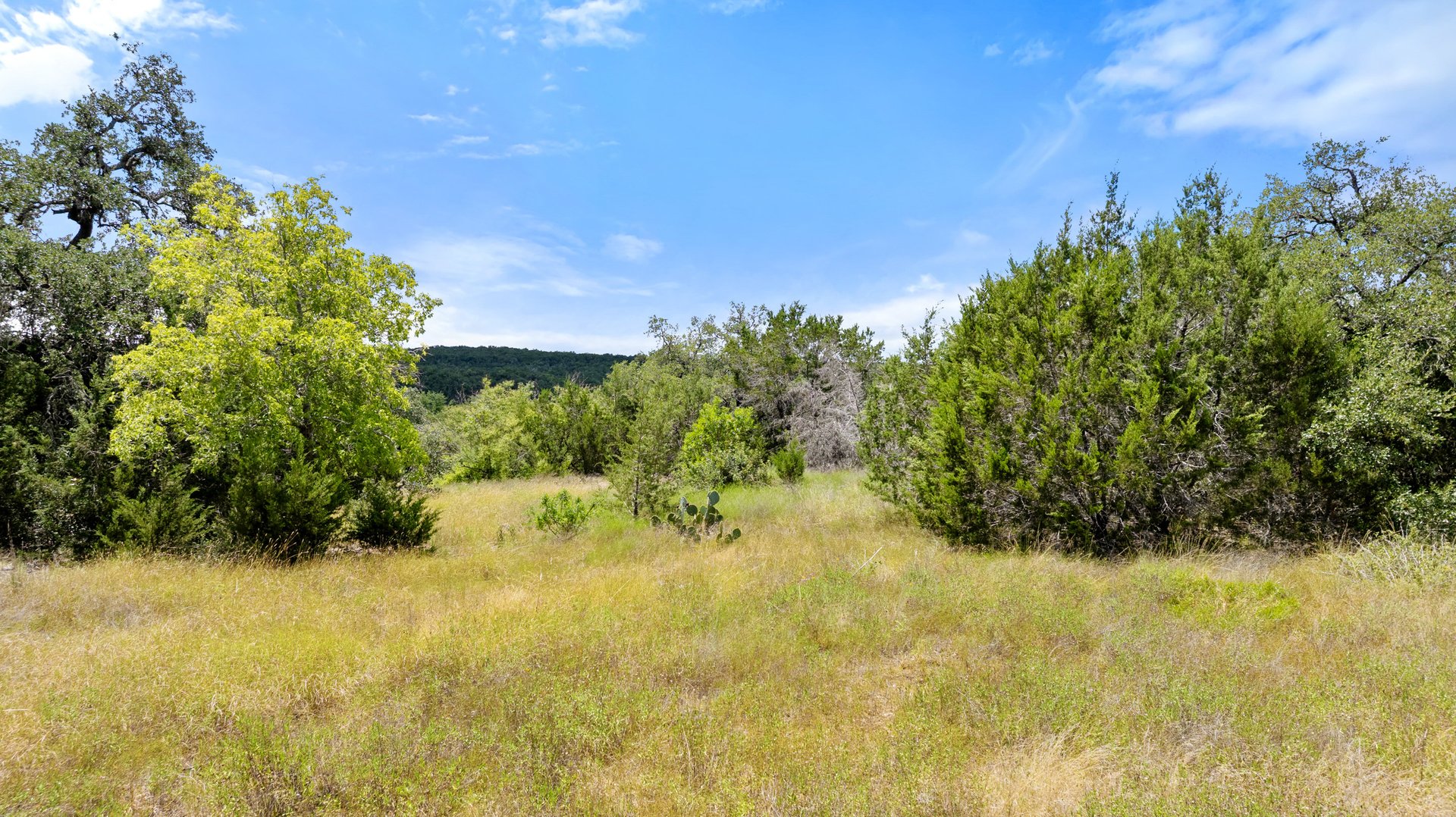 5300 Spring Preserve Trail LOT