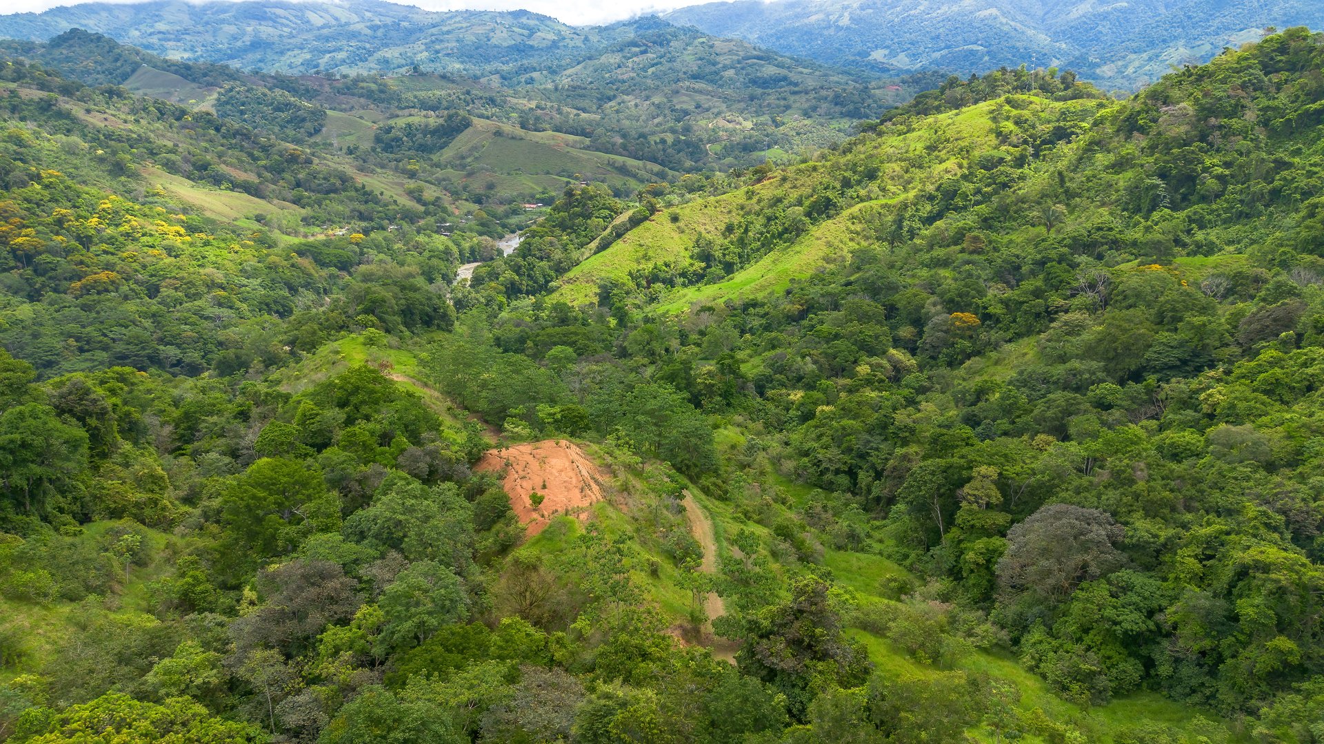 60+ Hectares in Platanillo | Own Your Own Mountain in Costa Rica