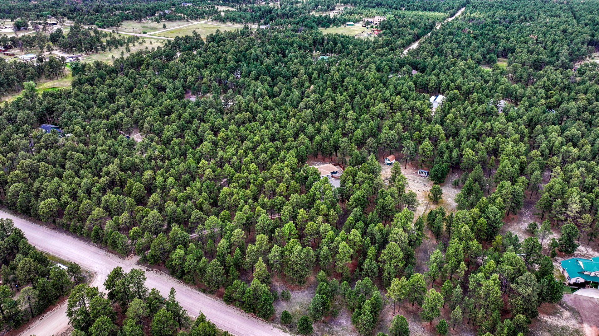 9950 Pine Park Trail