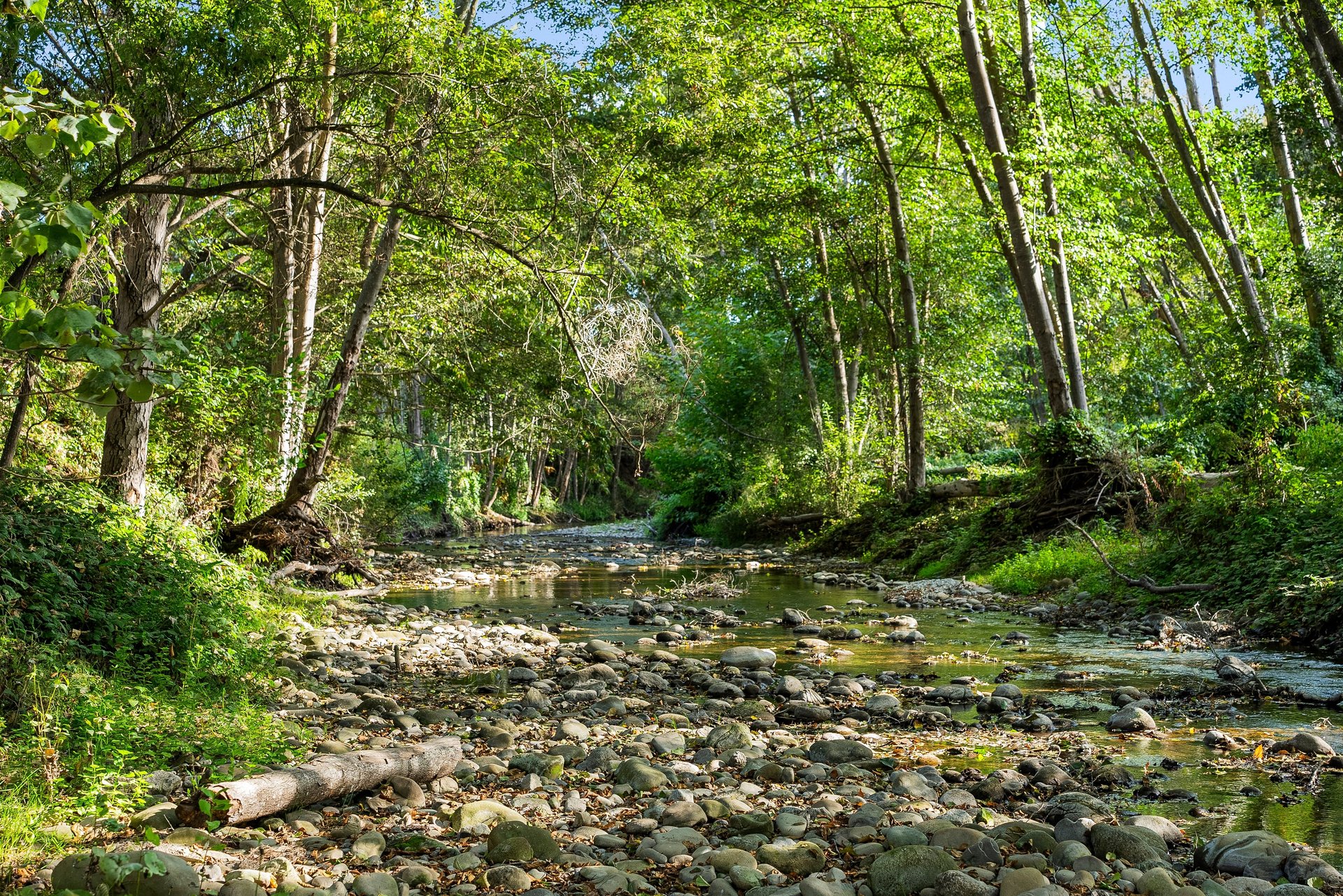 3999 Cherryvale Avenue | Soquel, California
