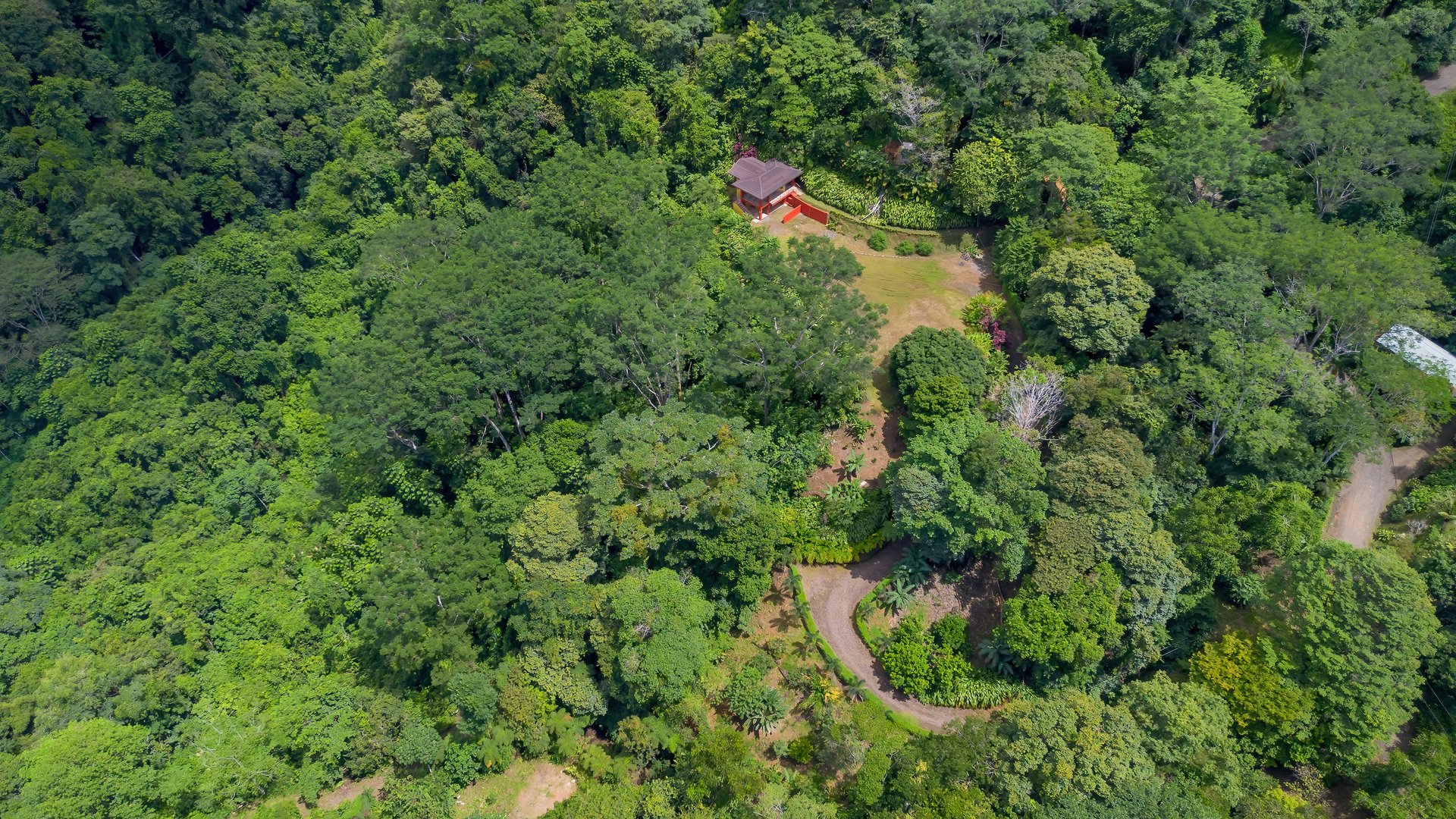 Build-Ready Ocean View Land with Guest House & Fruit Orchard | Tres Rios, Costa Rica