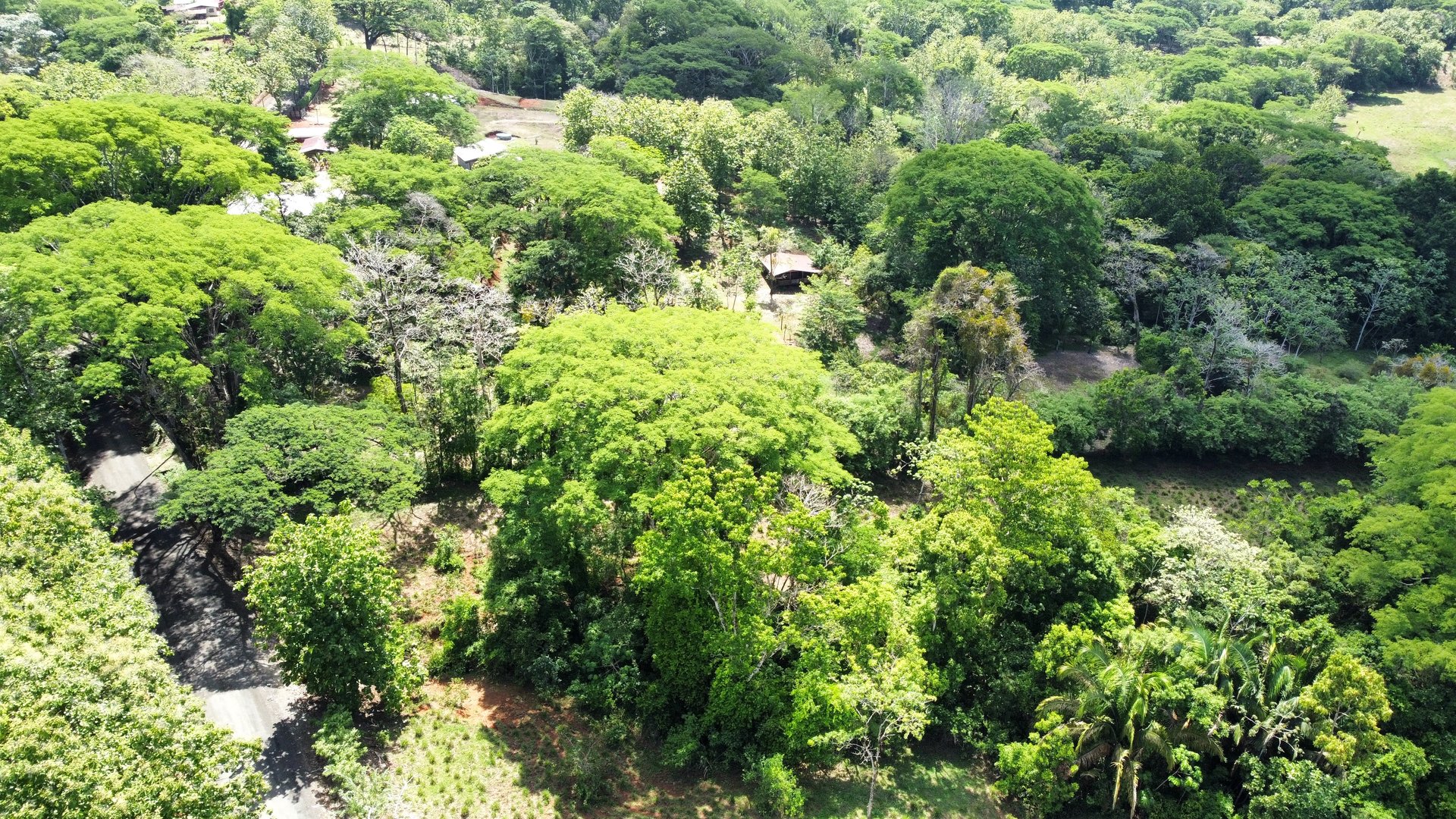 7-Hectare Farm with Teak Plantation, Existing Home & Eco-Development Potential Near Parrita, Costa Rica