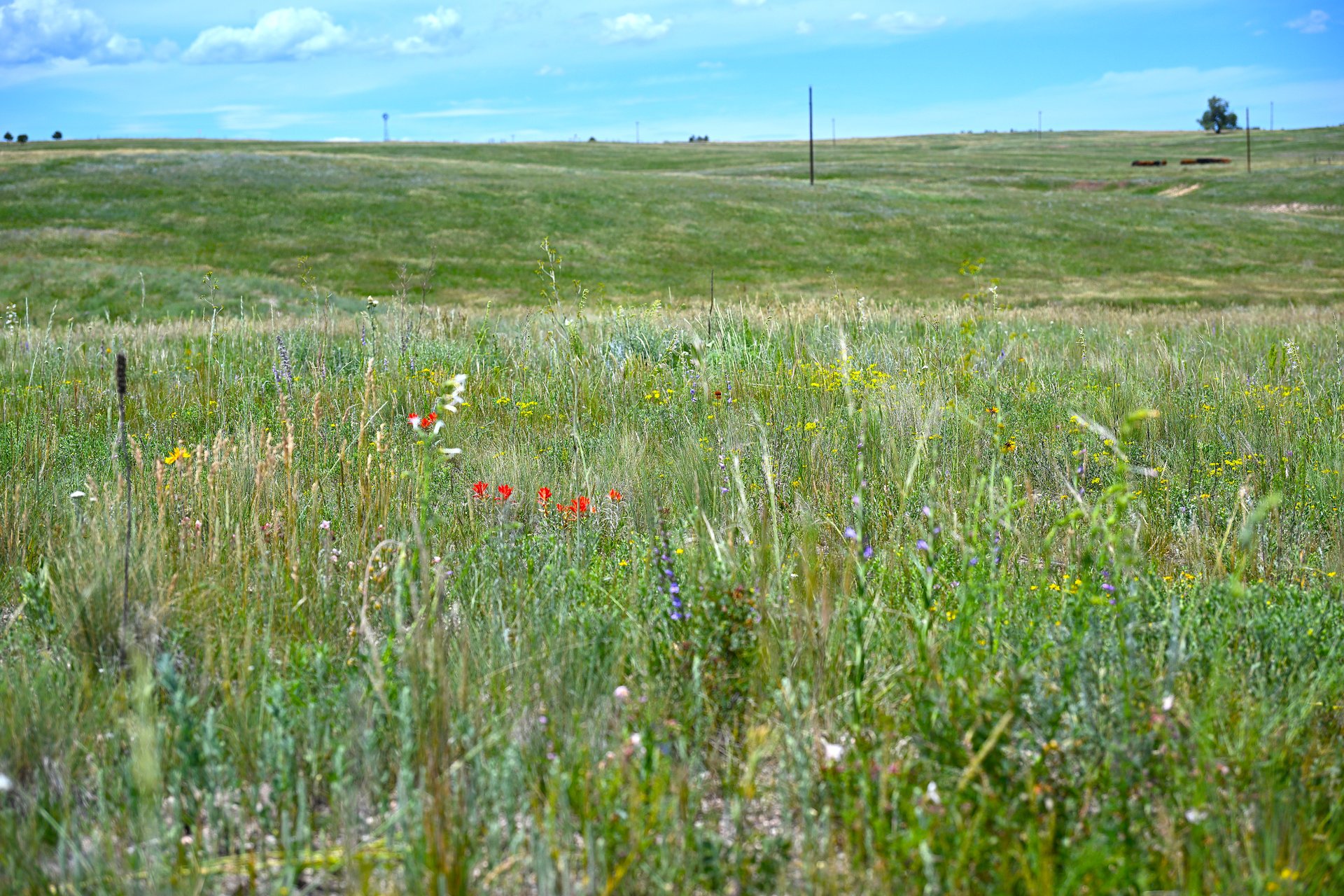 Lot 2 Steppler Road