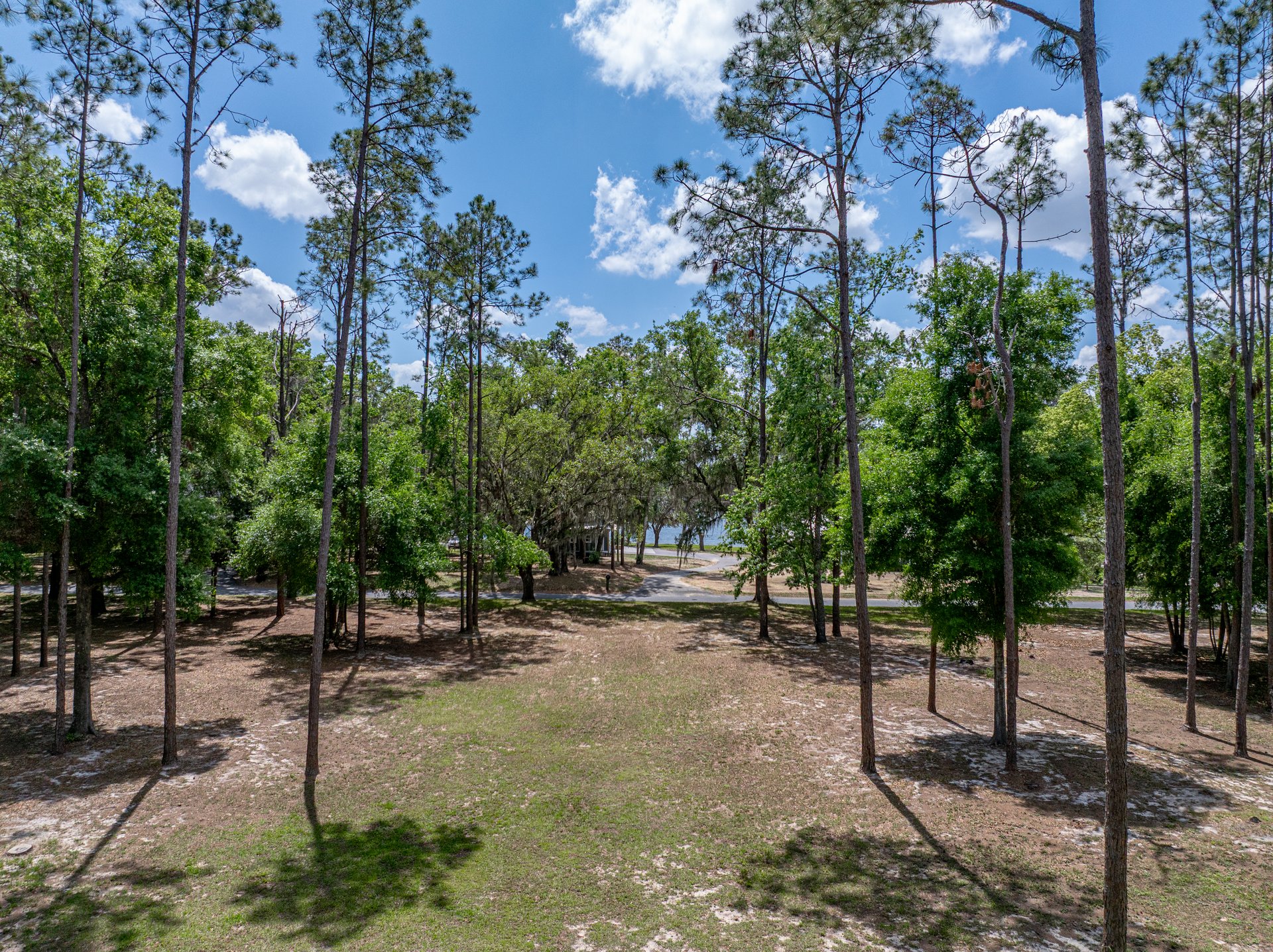 31187 REED RD