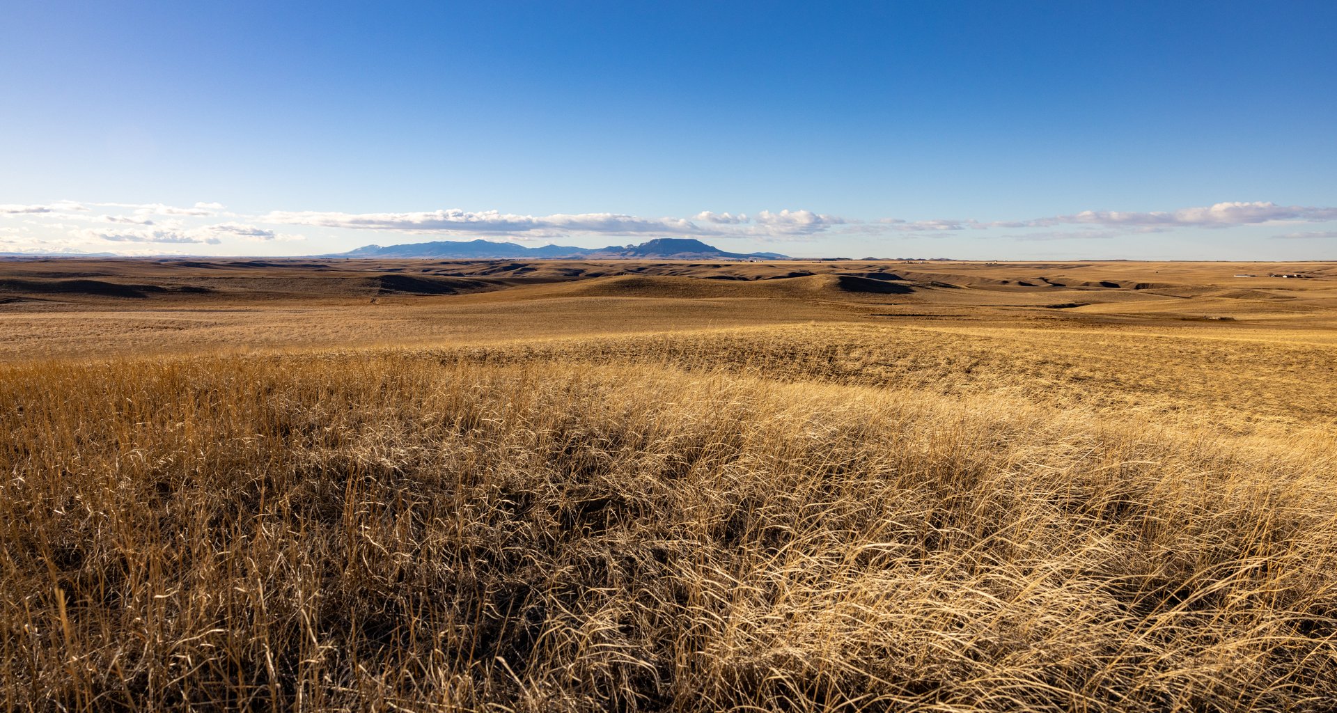 Prairie Rise Ranch