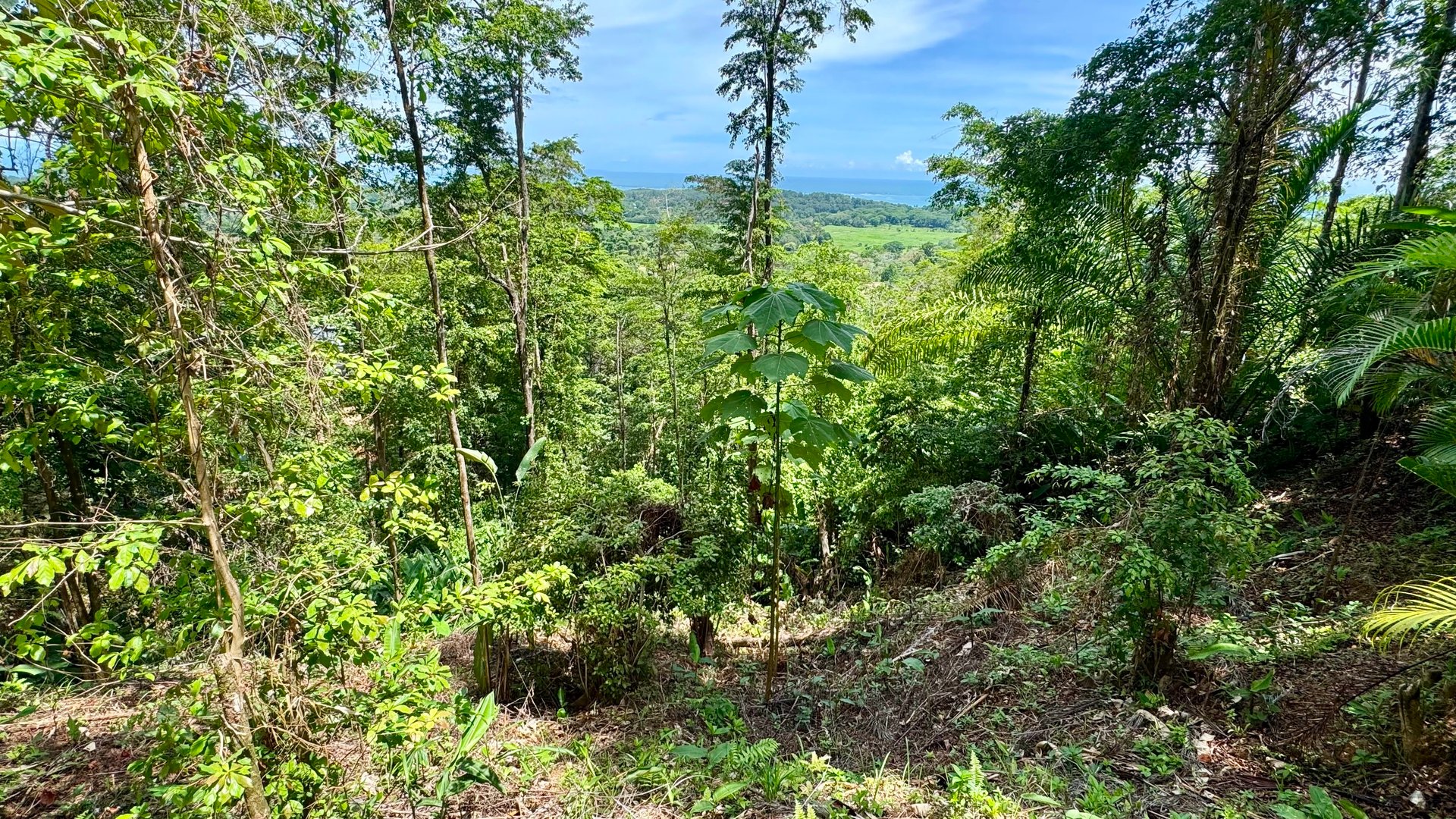 Exclusive and Unique Ocean Views lot in the Hills of Uvita!