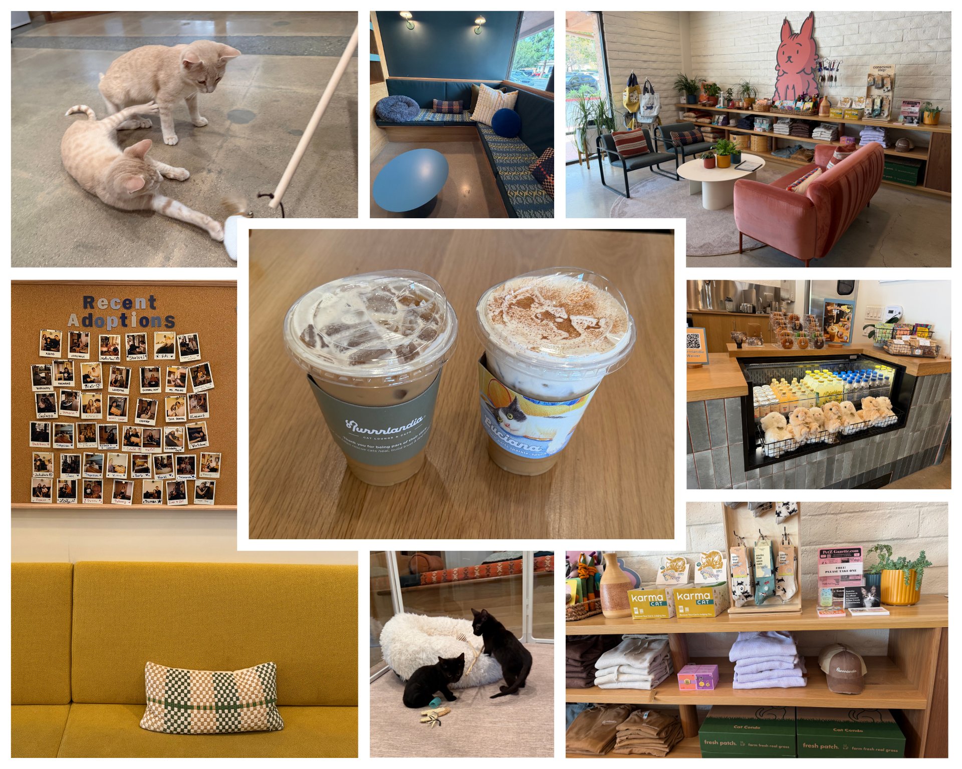 Purrrlandia cat lounge and café collage, with cats, cozy seating, merchandise, and two iced drinks.