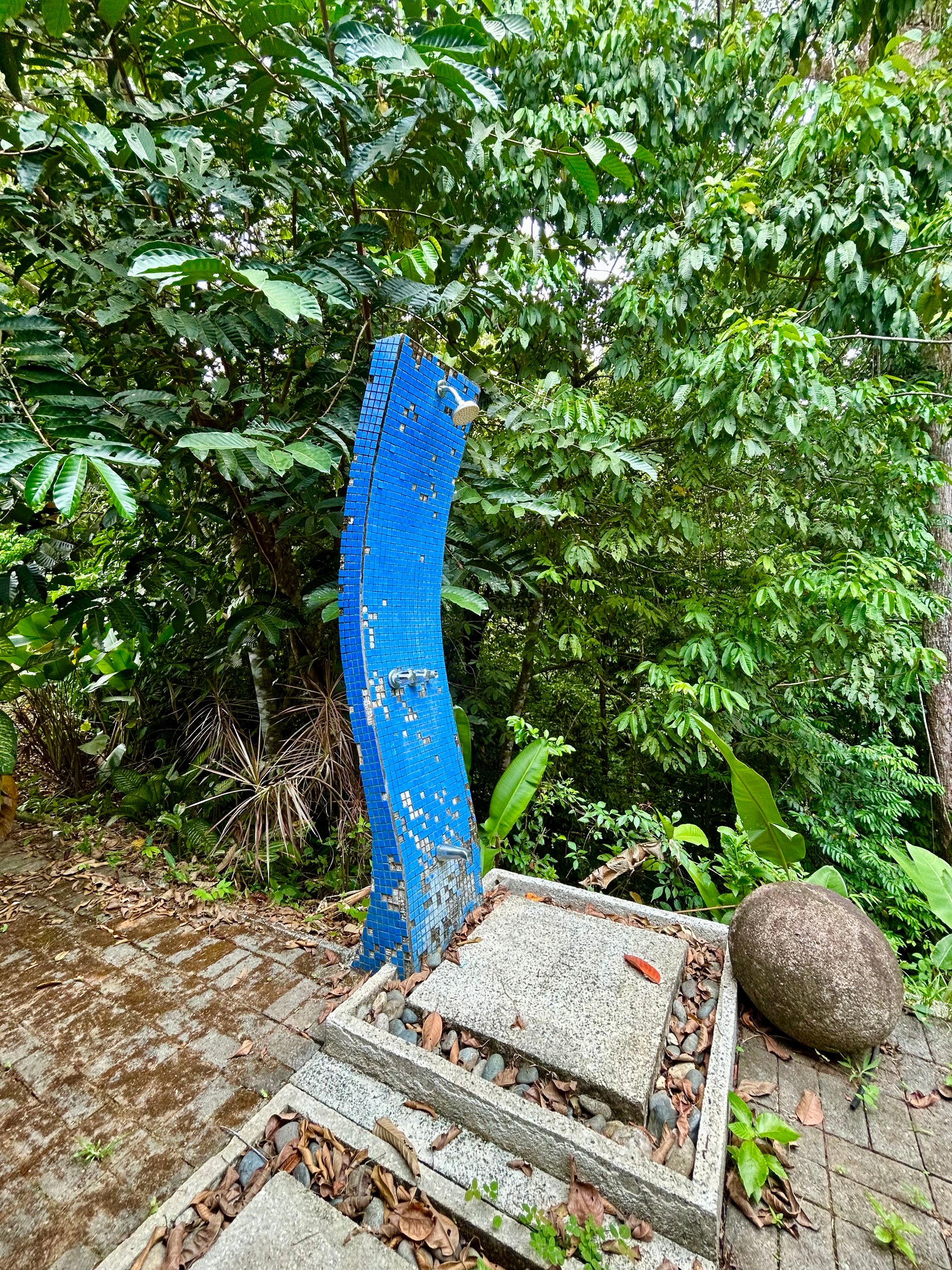 Fixer-Upper Home with an studio Office in Palmar Norte on a 7.58 Acres Property