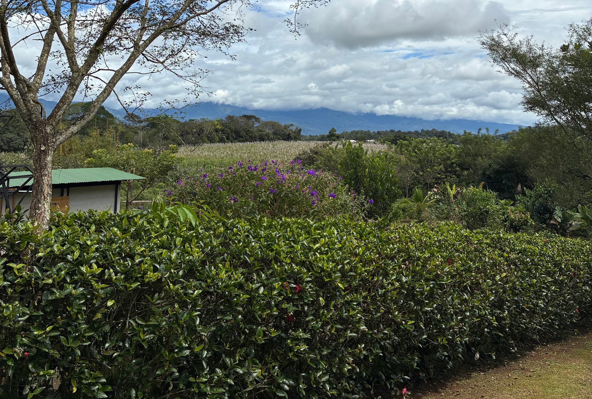 Ready-to-Build Mountain View Lot Minutes from San Isidro