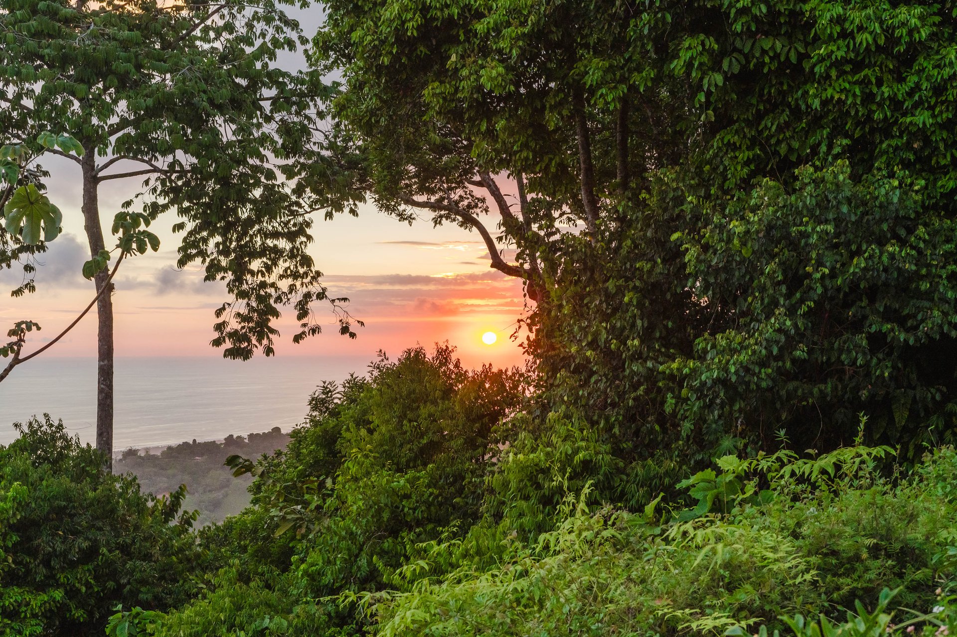 Luxury 5-Bedroom Ocean View Estate I Elevated Living Above Dominical