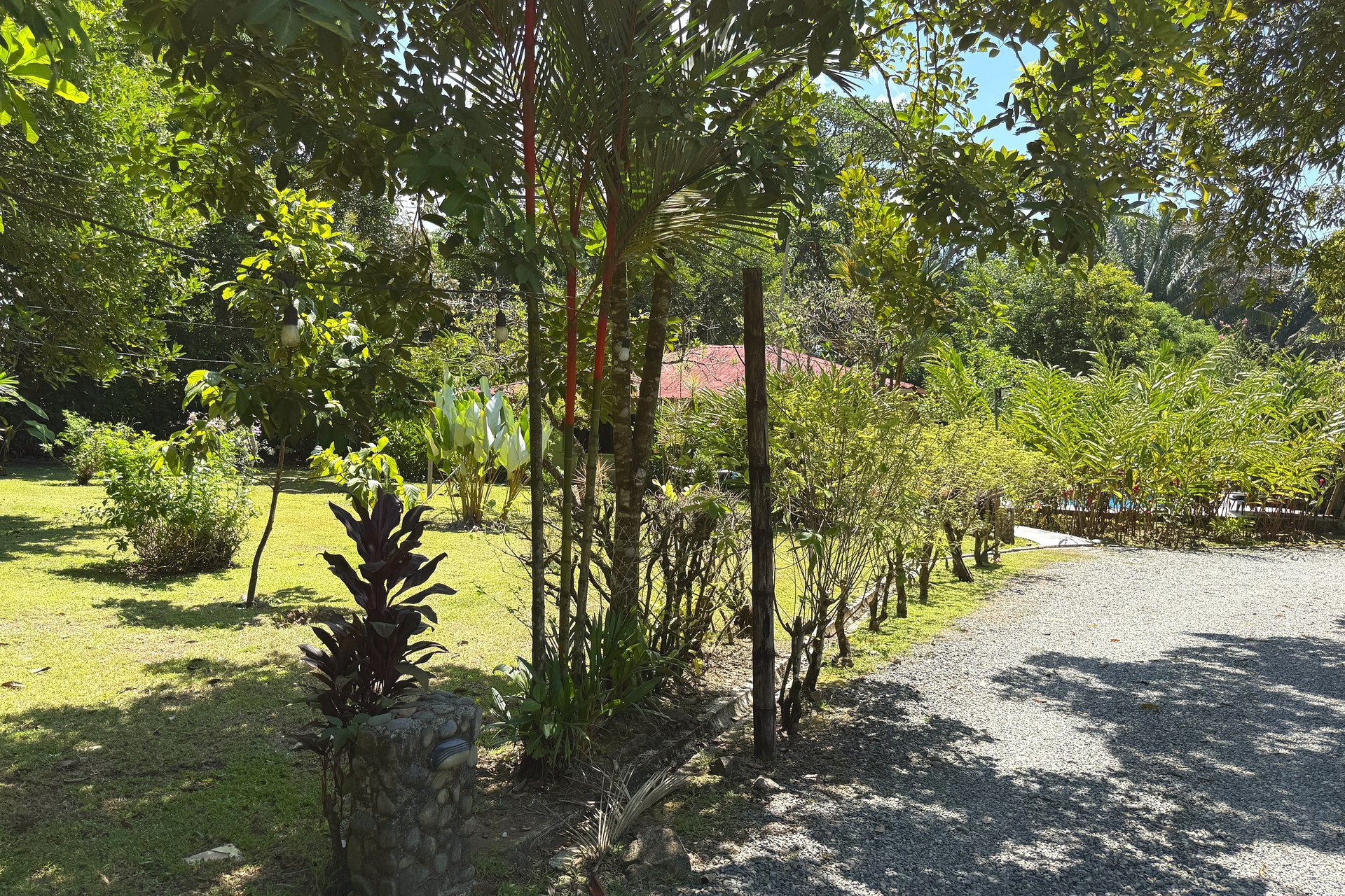  Gorgeous Jungle Hotel with 11 Beds including Owner/Manager Unit, Sparkling Pool & River Setting in Ojochal Costa Rica