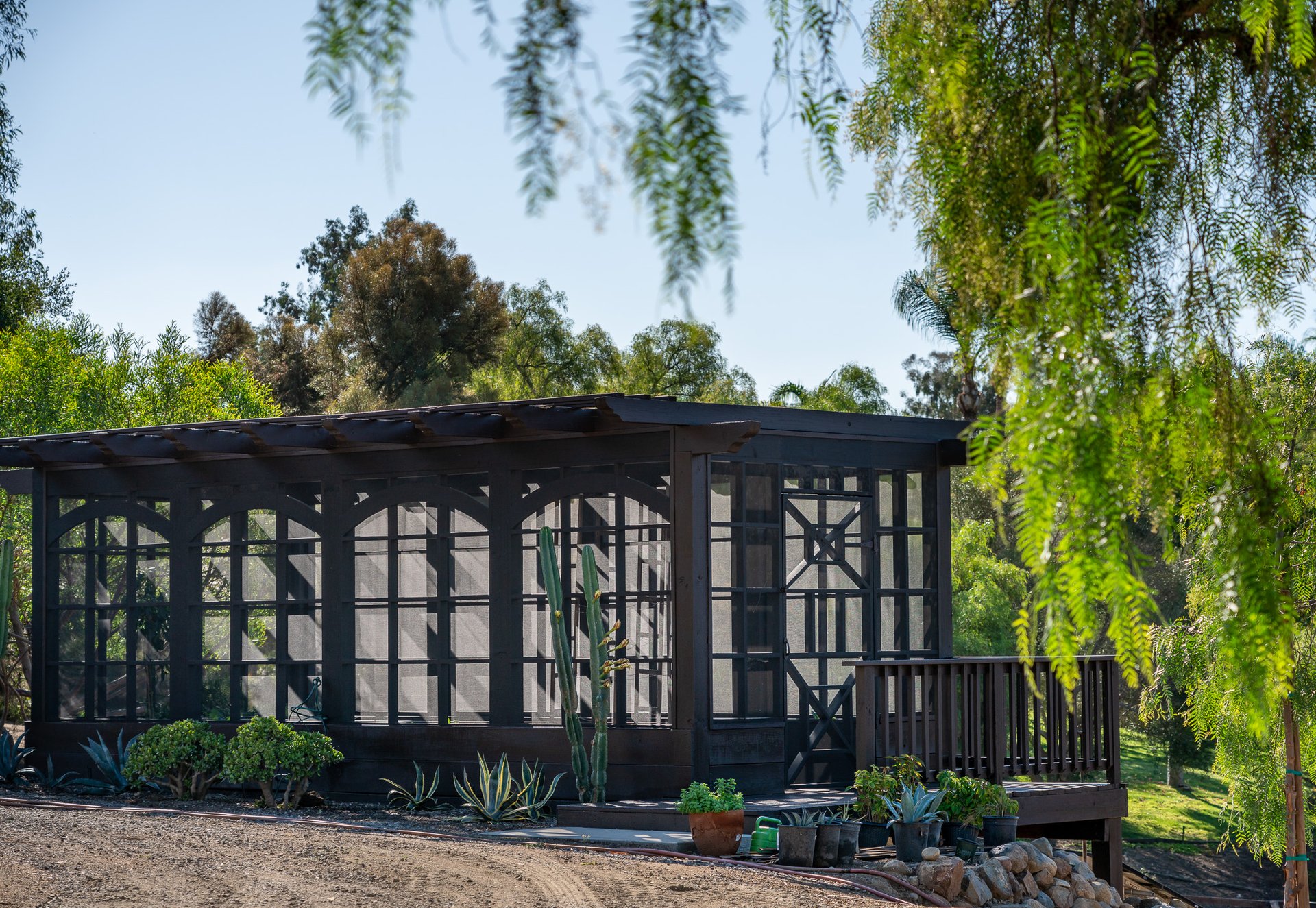 Paradiso in The Ranch