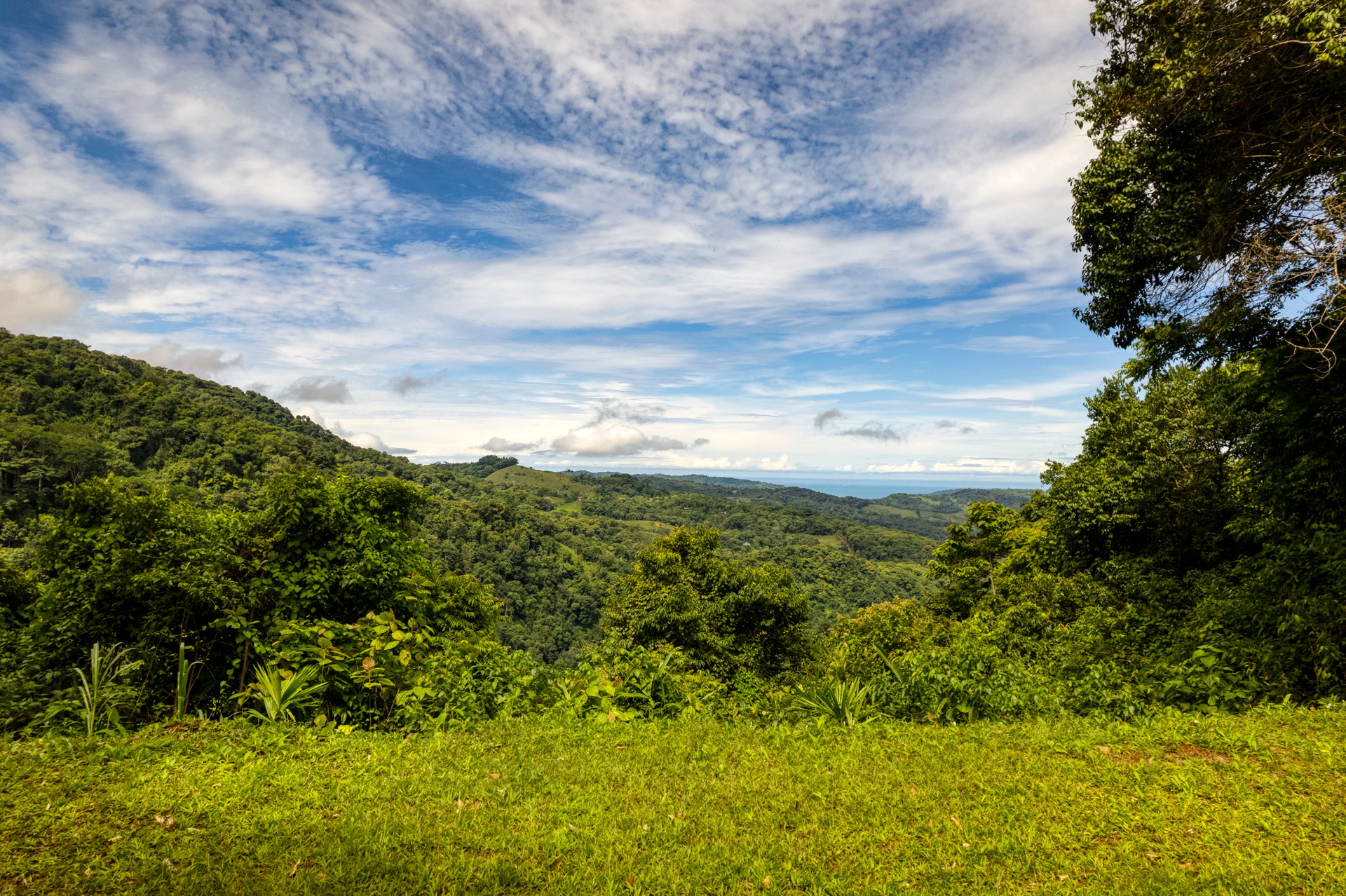 Once in a Lifetime Waterfall Farm in a Pristine Biological Corridor