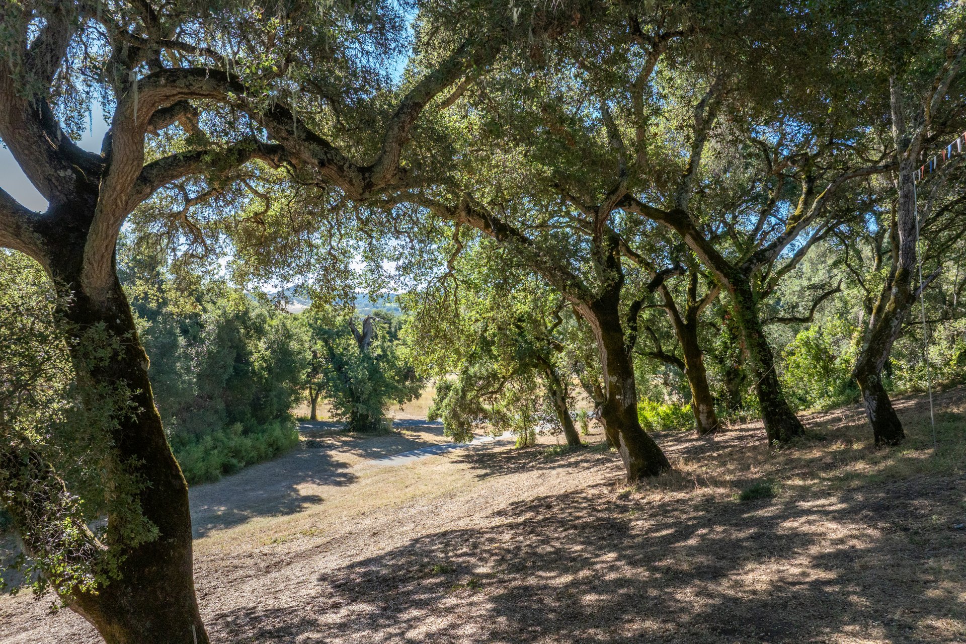 The Preserve Legacy Homesite
