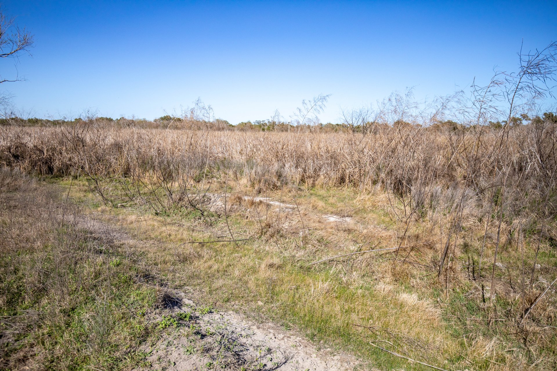 Lamar Peninsula Development Tract |  51.81± Acres | Aransas County