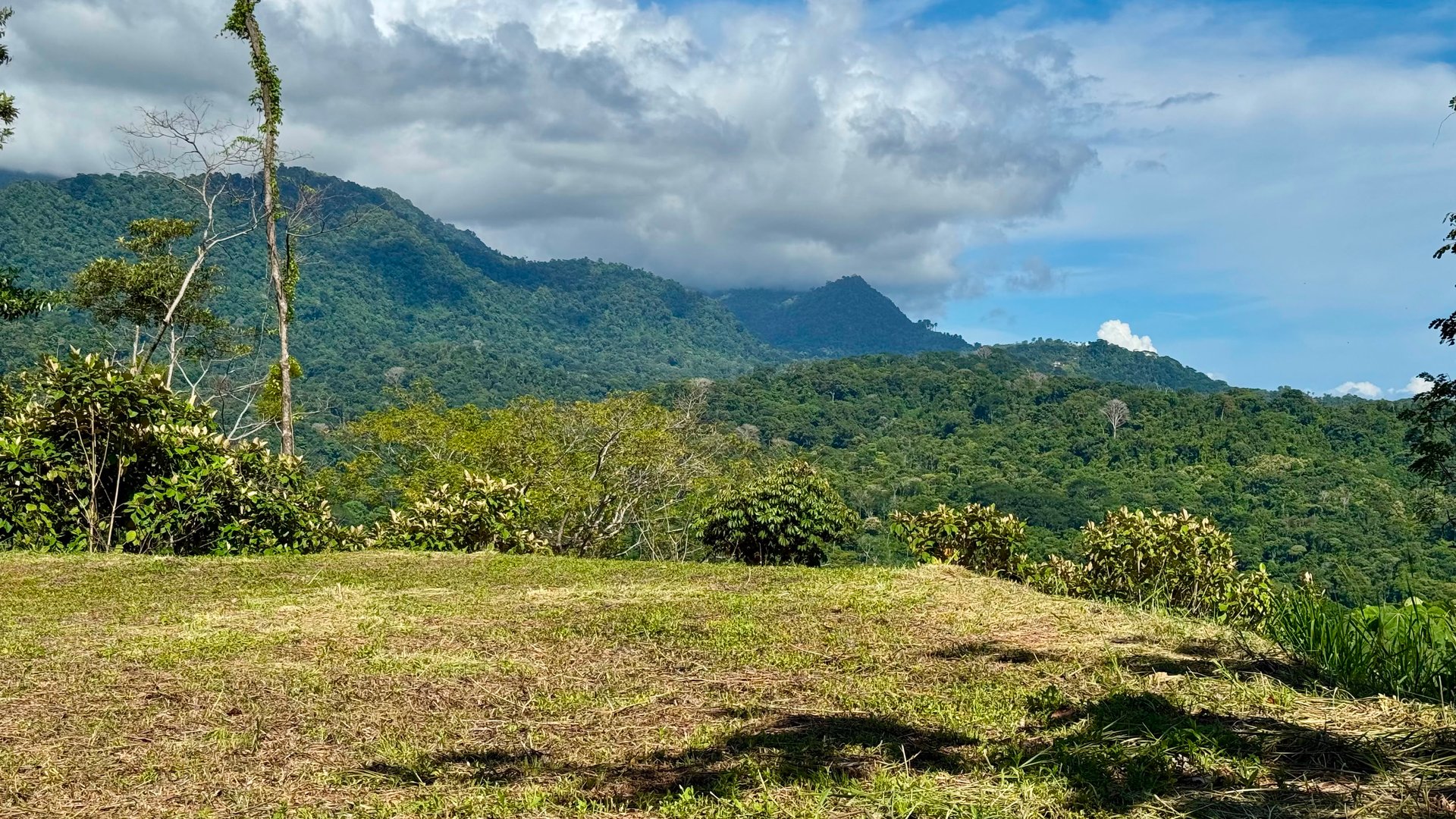 Las Terrazas Dream Estate | Spectacular Ocean & Mountain Views with a Waterfall 