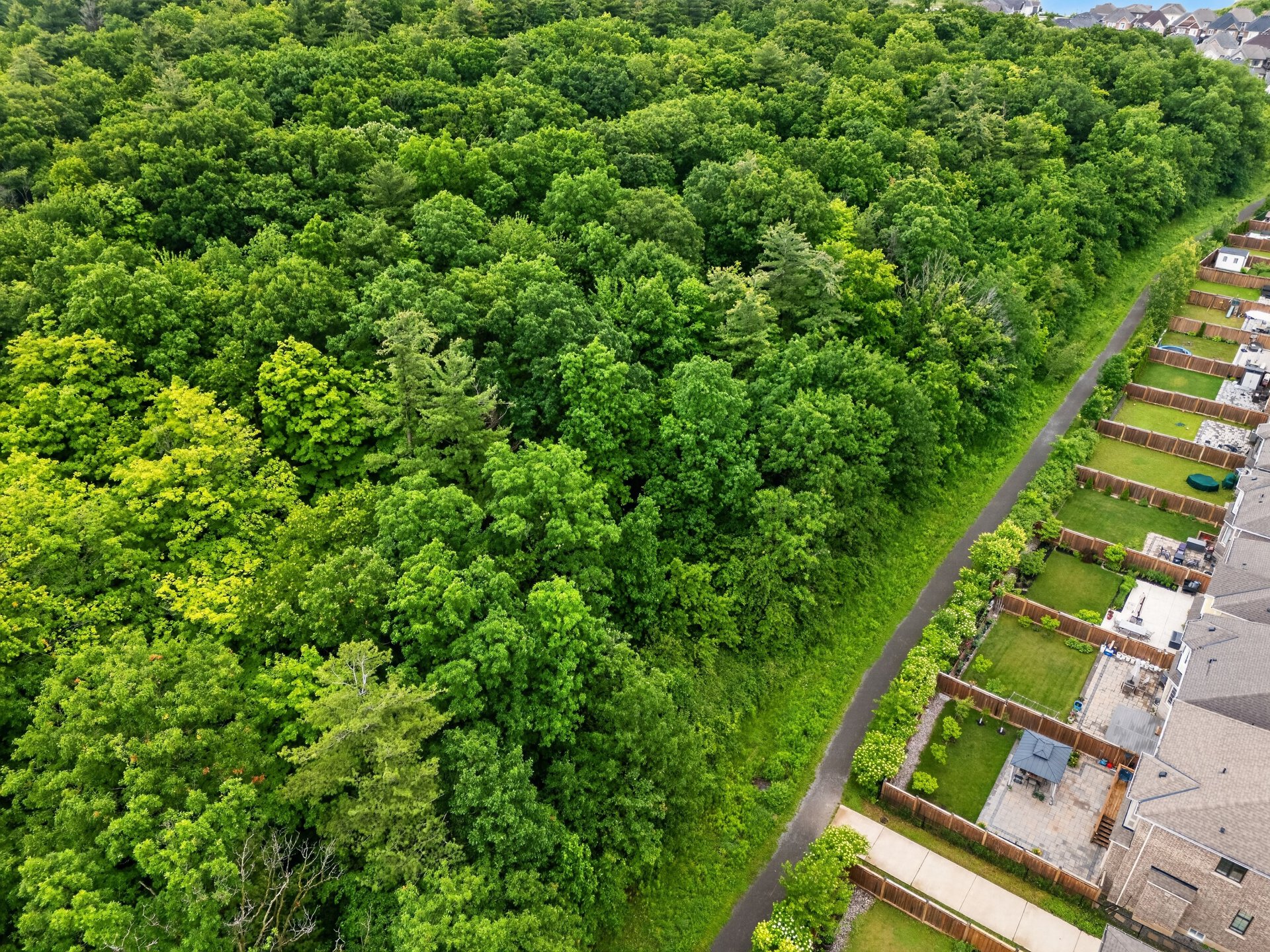3364 Vernon Powell Drive, Oakville
