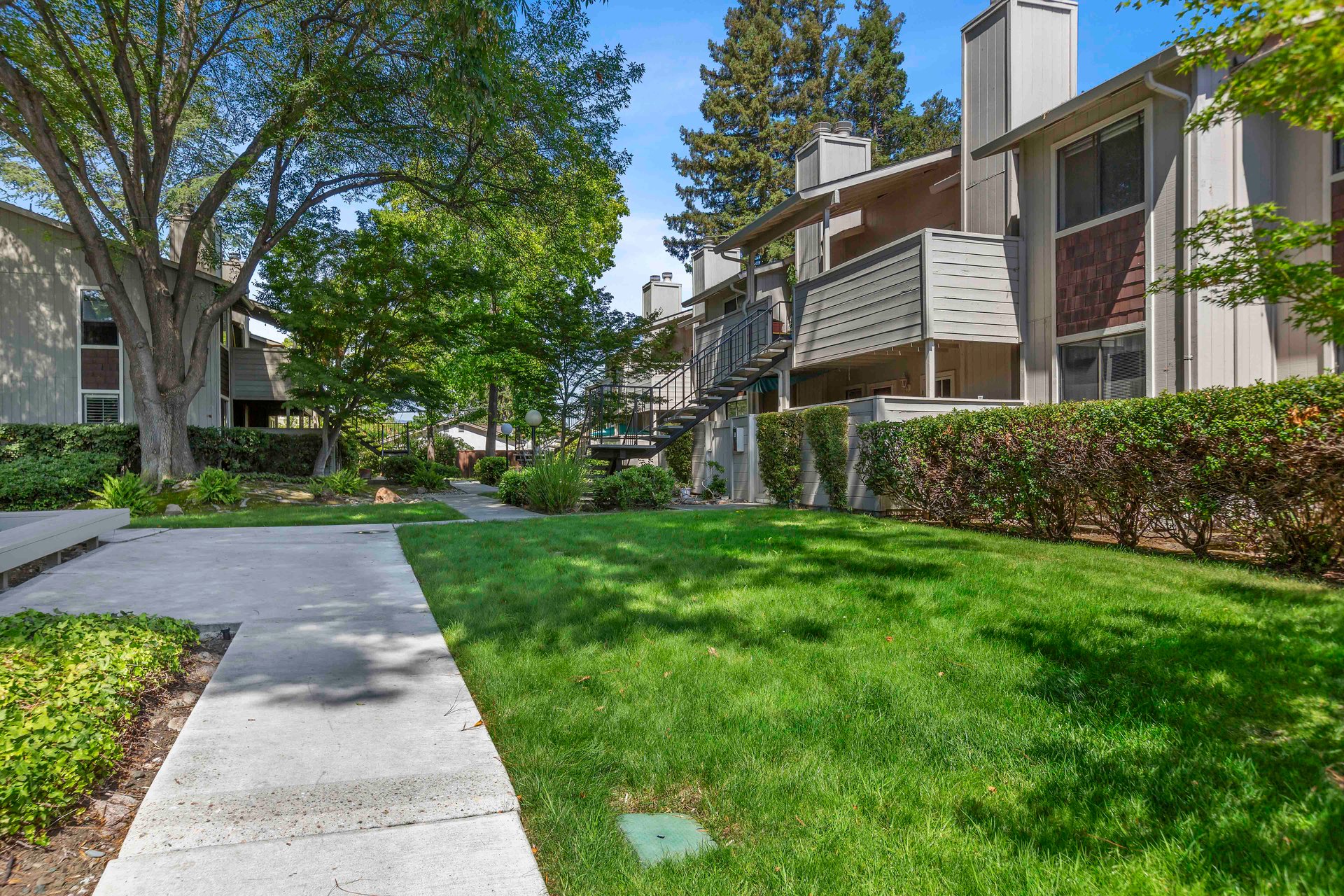 3852 Panda Place