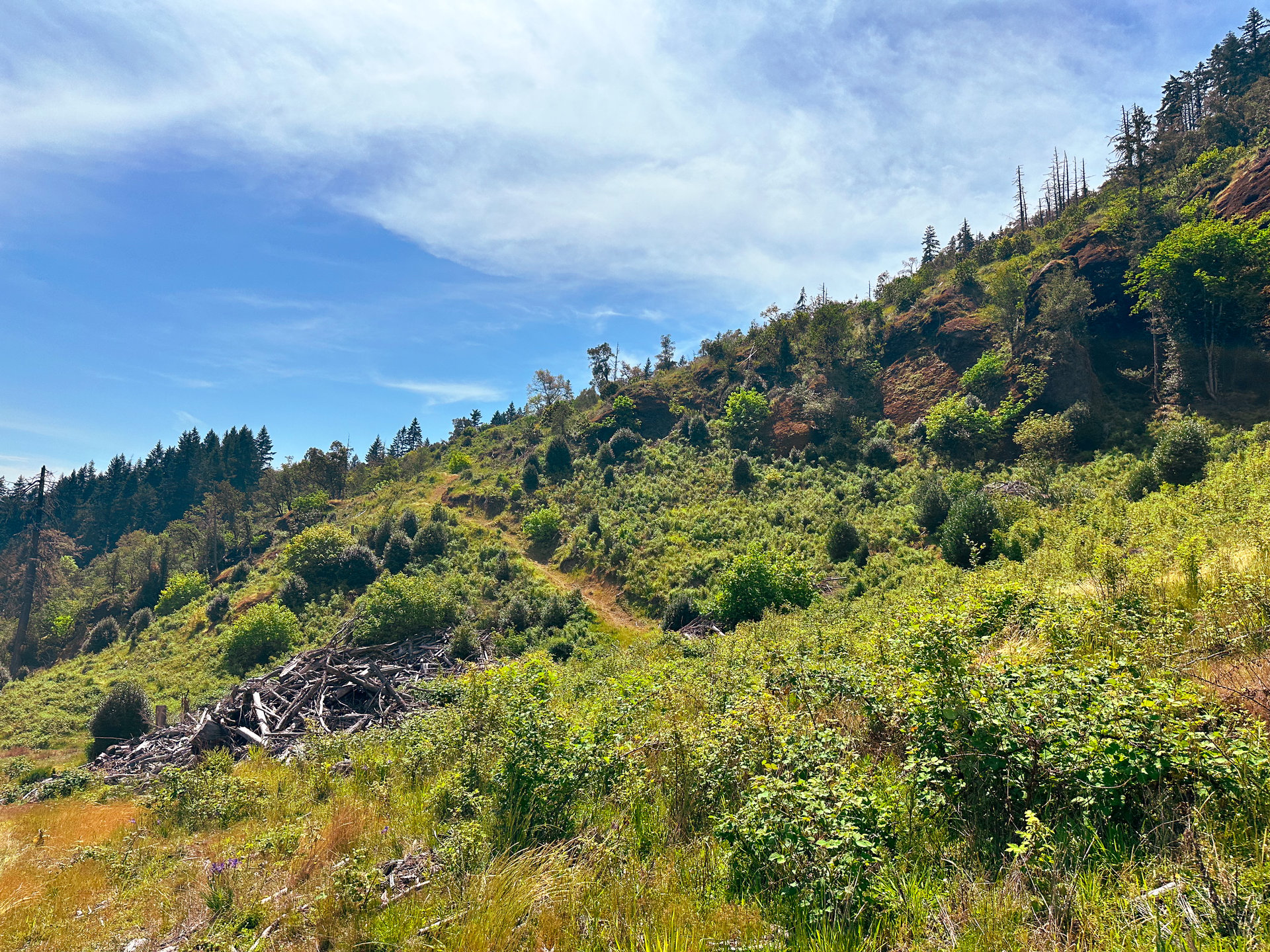 STRICKLAND CANYON HOMESITE