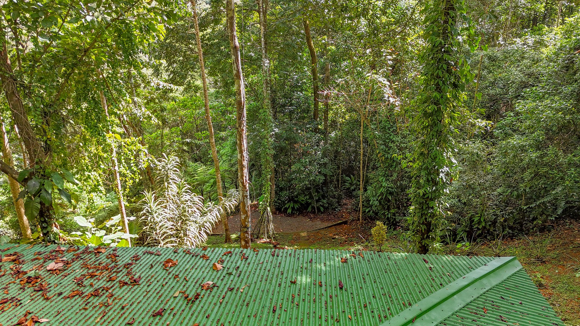 Jungle Retreat with River, Views & 2 Homes in Tres Rios